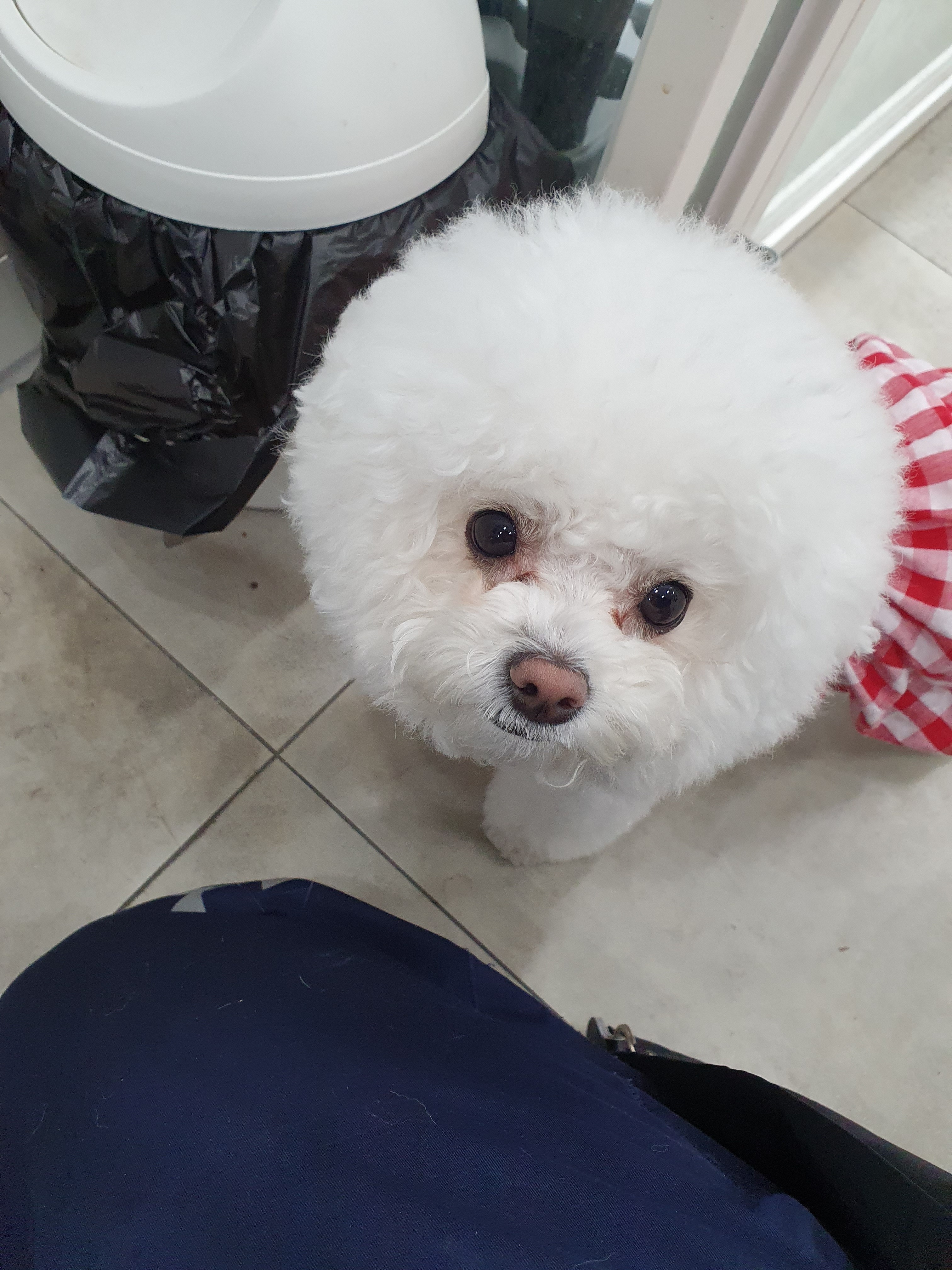 리뷰 사진 1