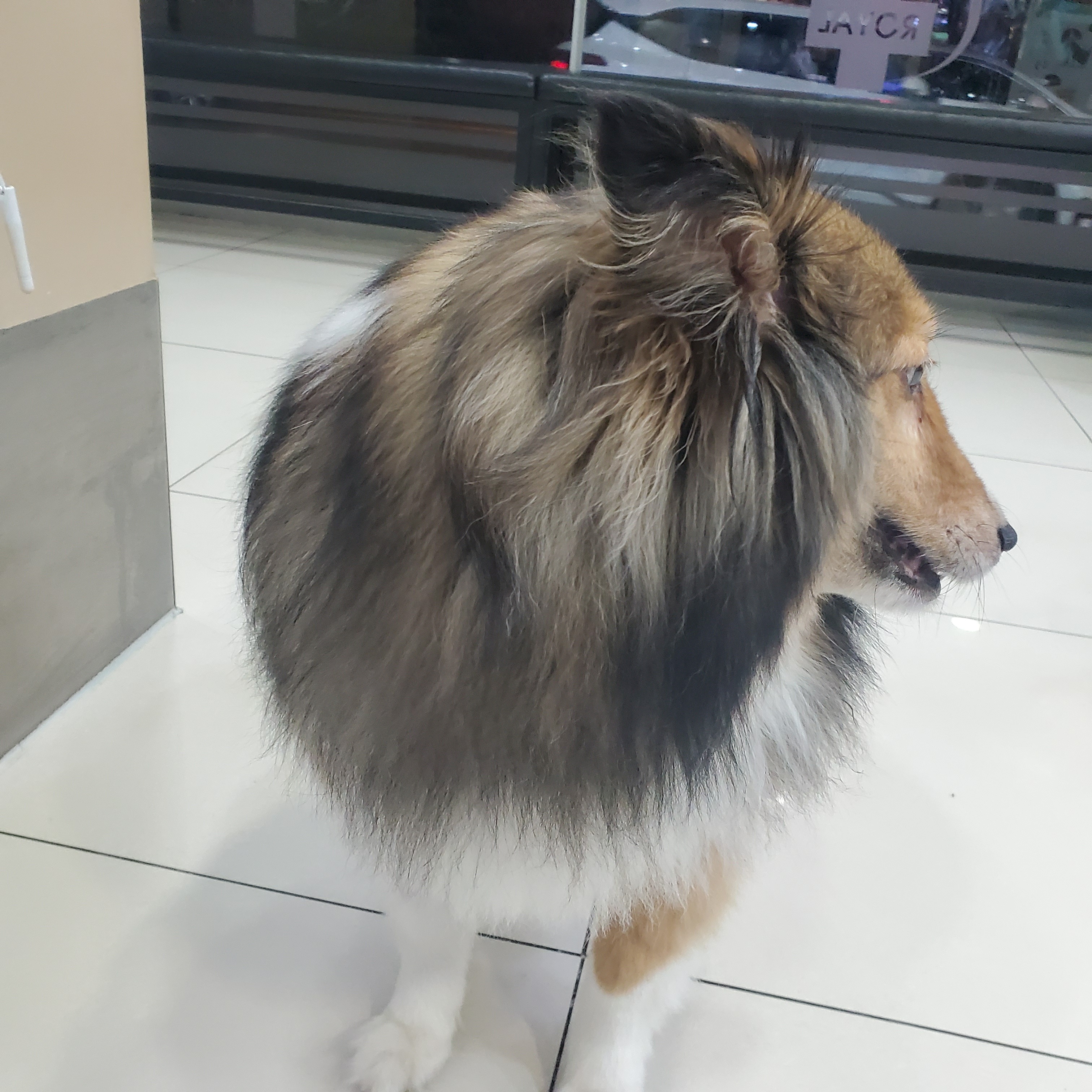 리뷰 사진 4