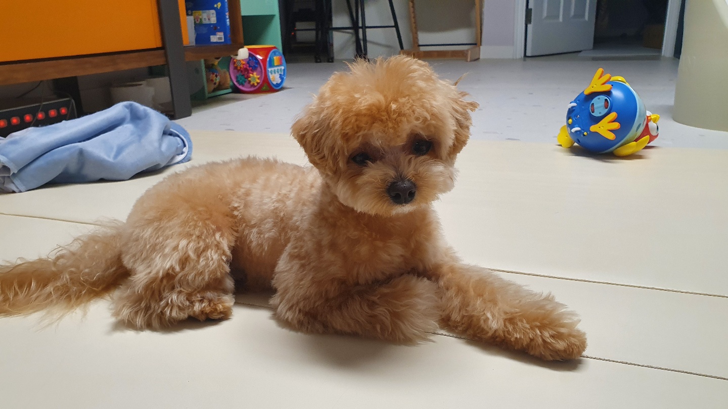 리뷰 사진 1