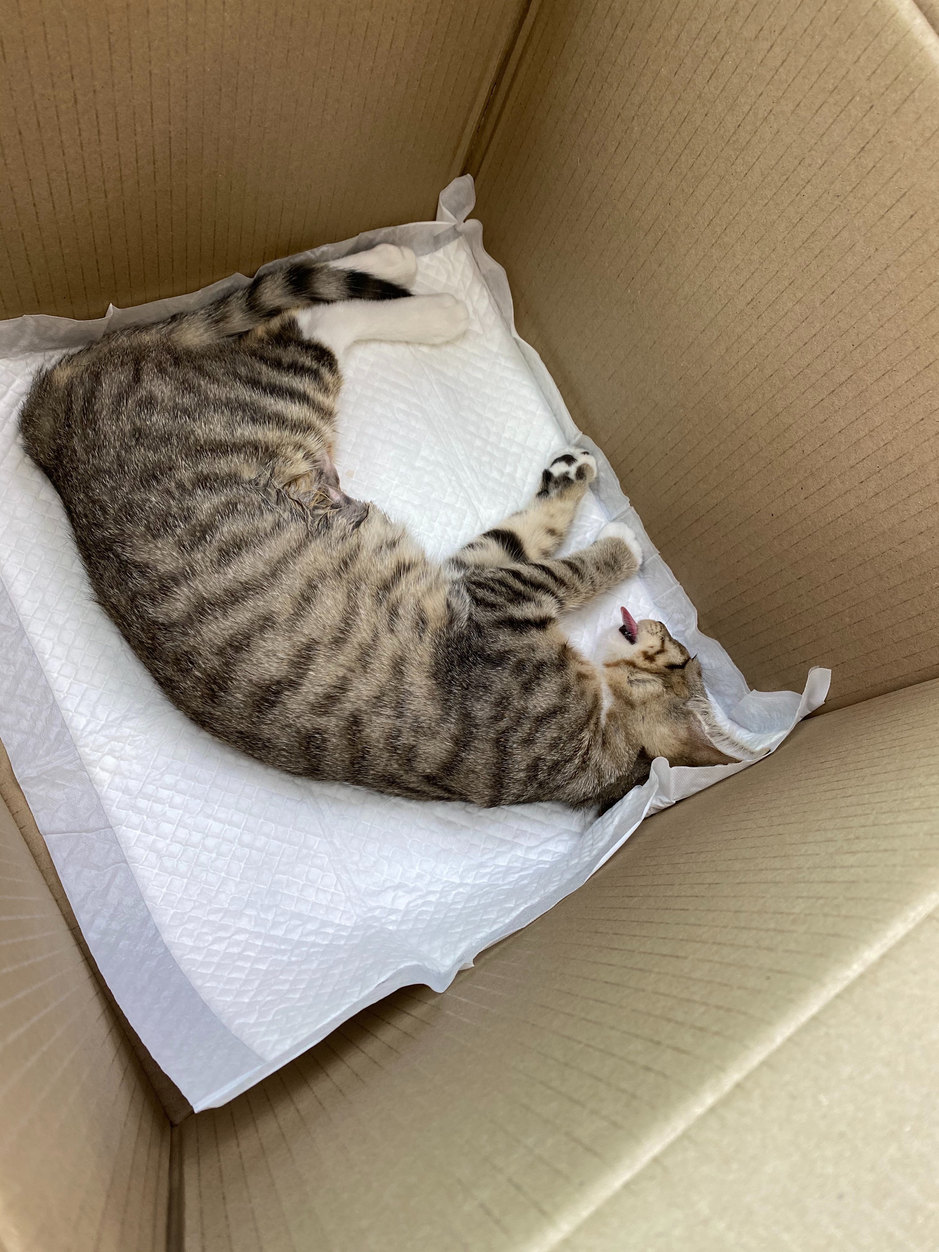 윤신근박사동물병원 사진 4