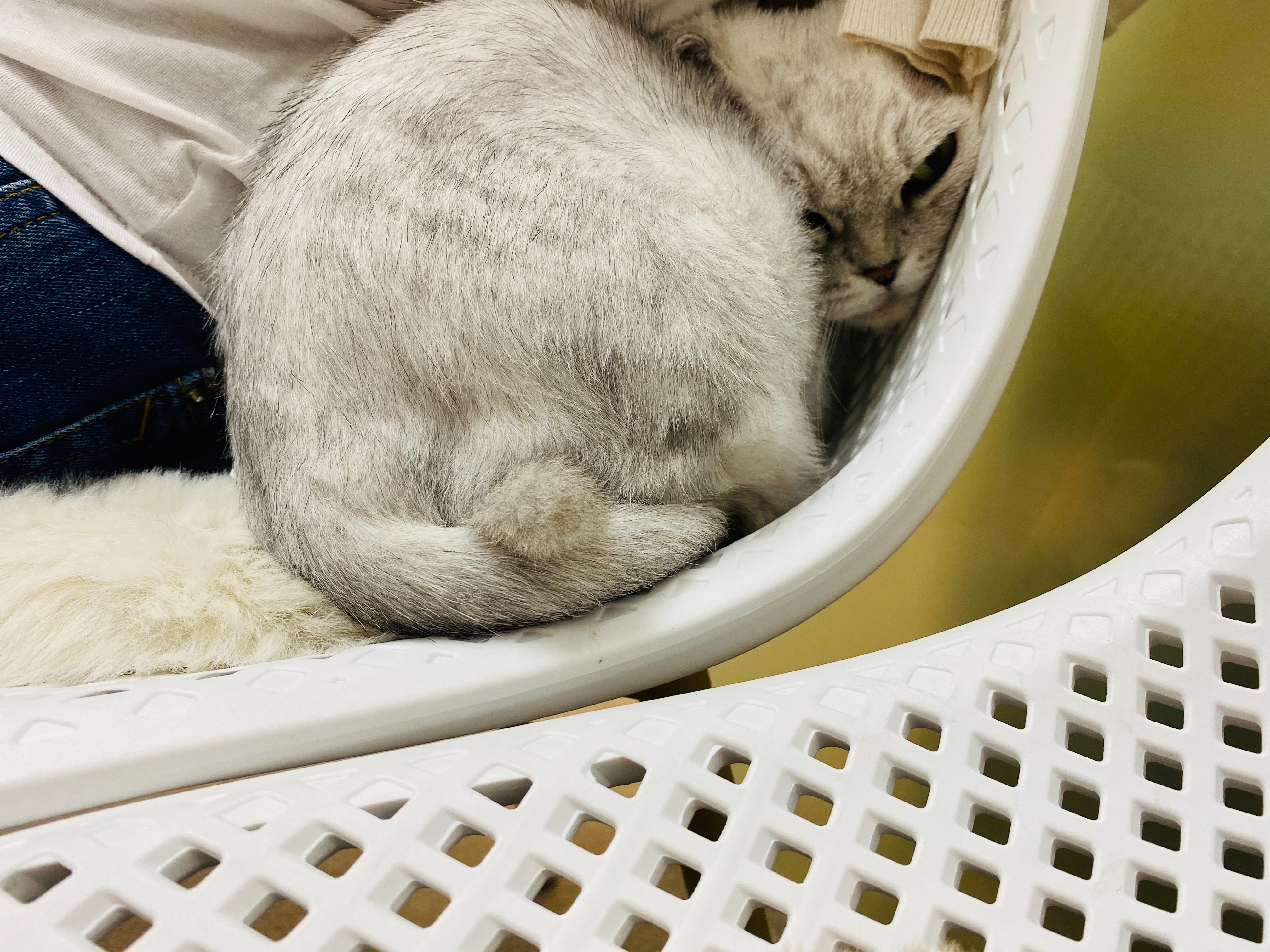리뷰 사진 1