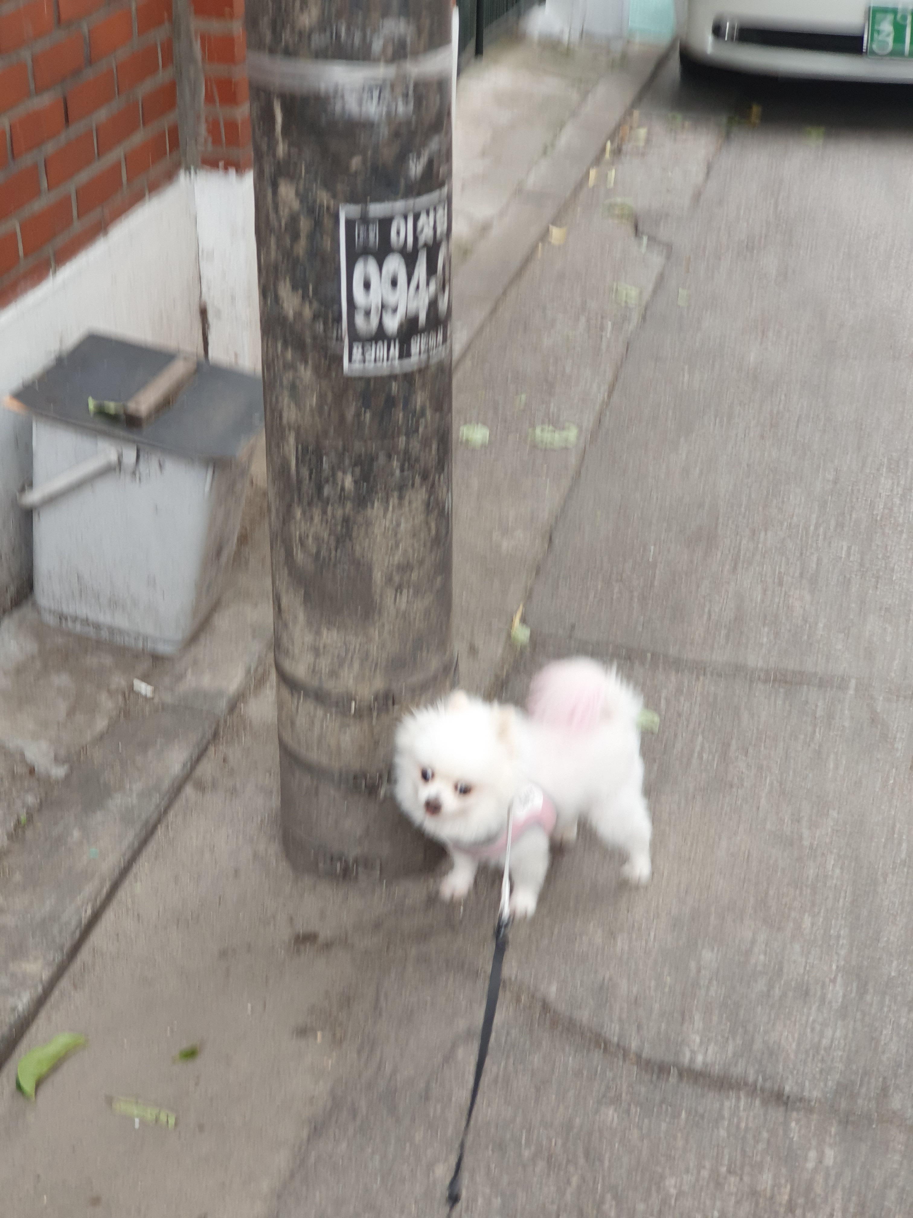 리뷰 사진 1