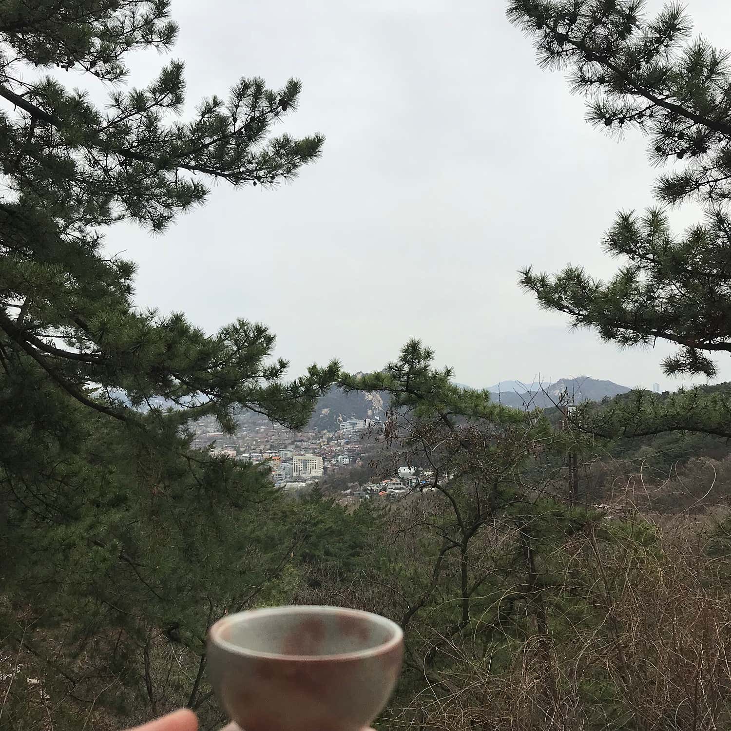리뷰 μ΄λ―Έμ§ 1