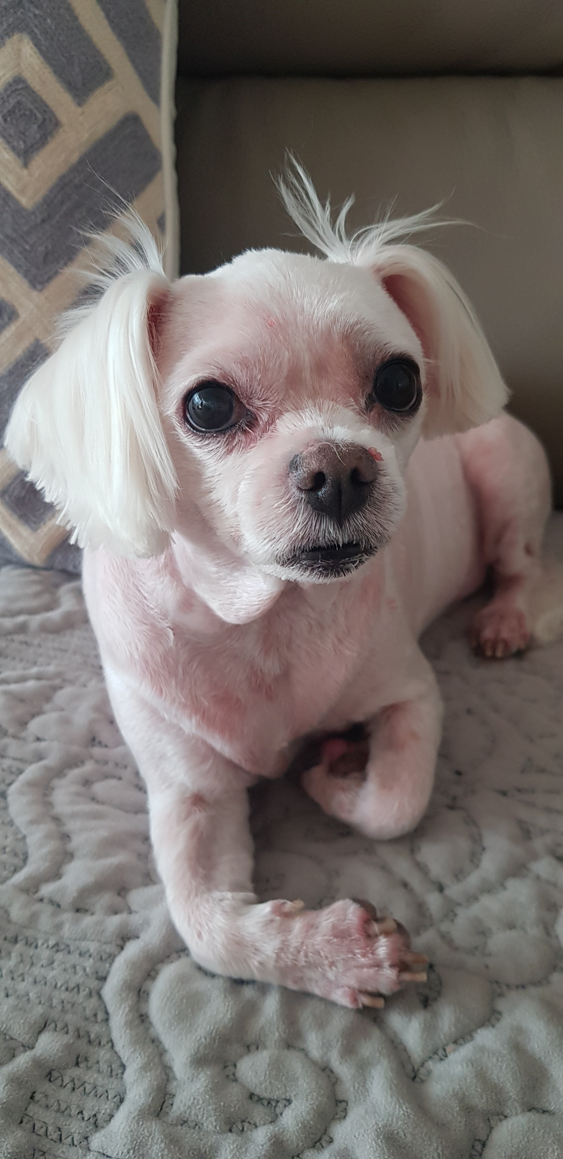 리뷰 사진 1