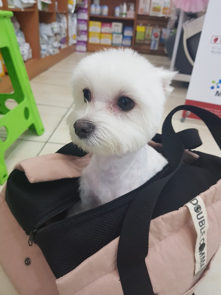 중곡동물병원 사진 3