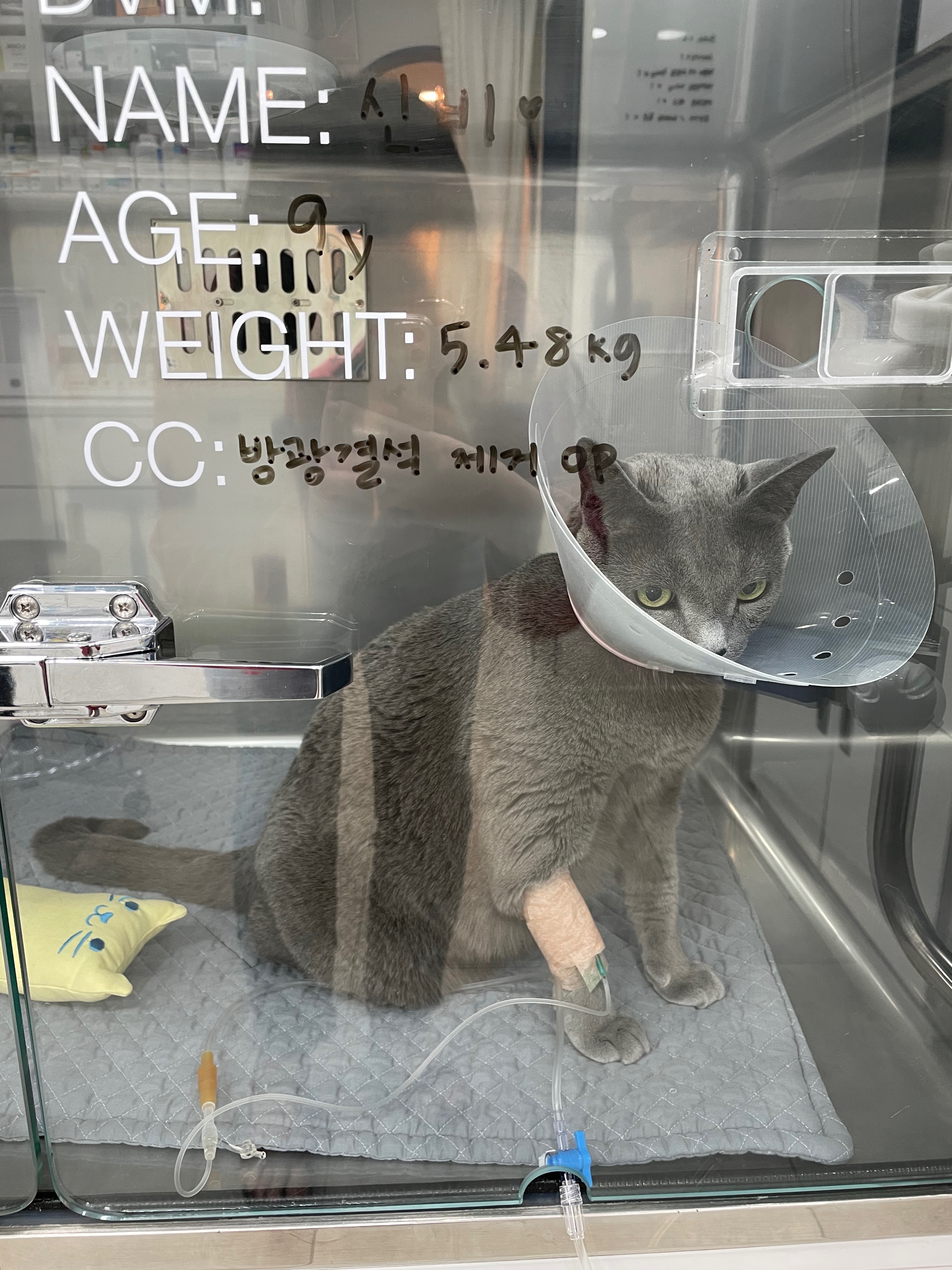 리뷰 사진 1