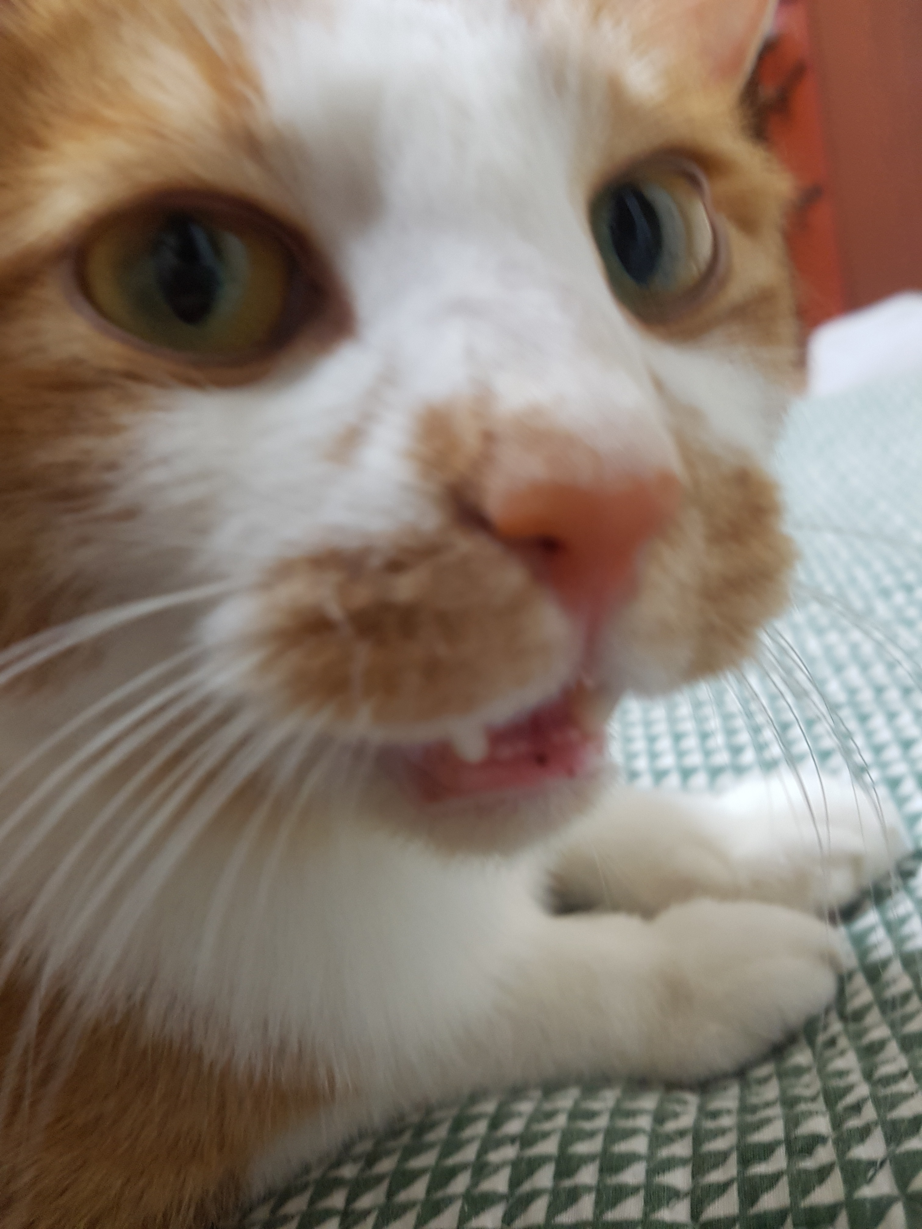 리뷰 사진 3
