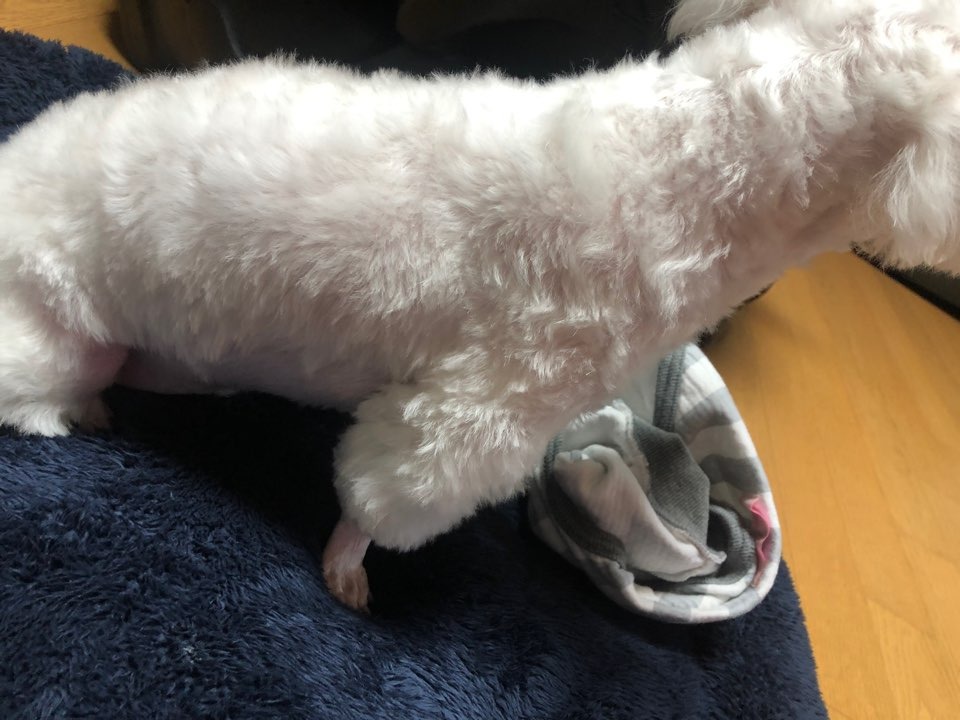 리뷰 사진 3
