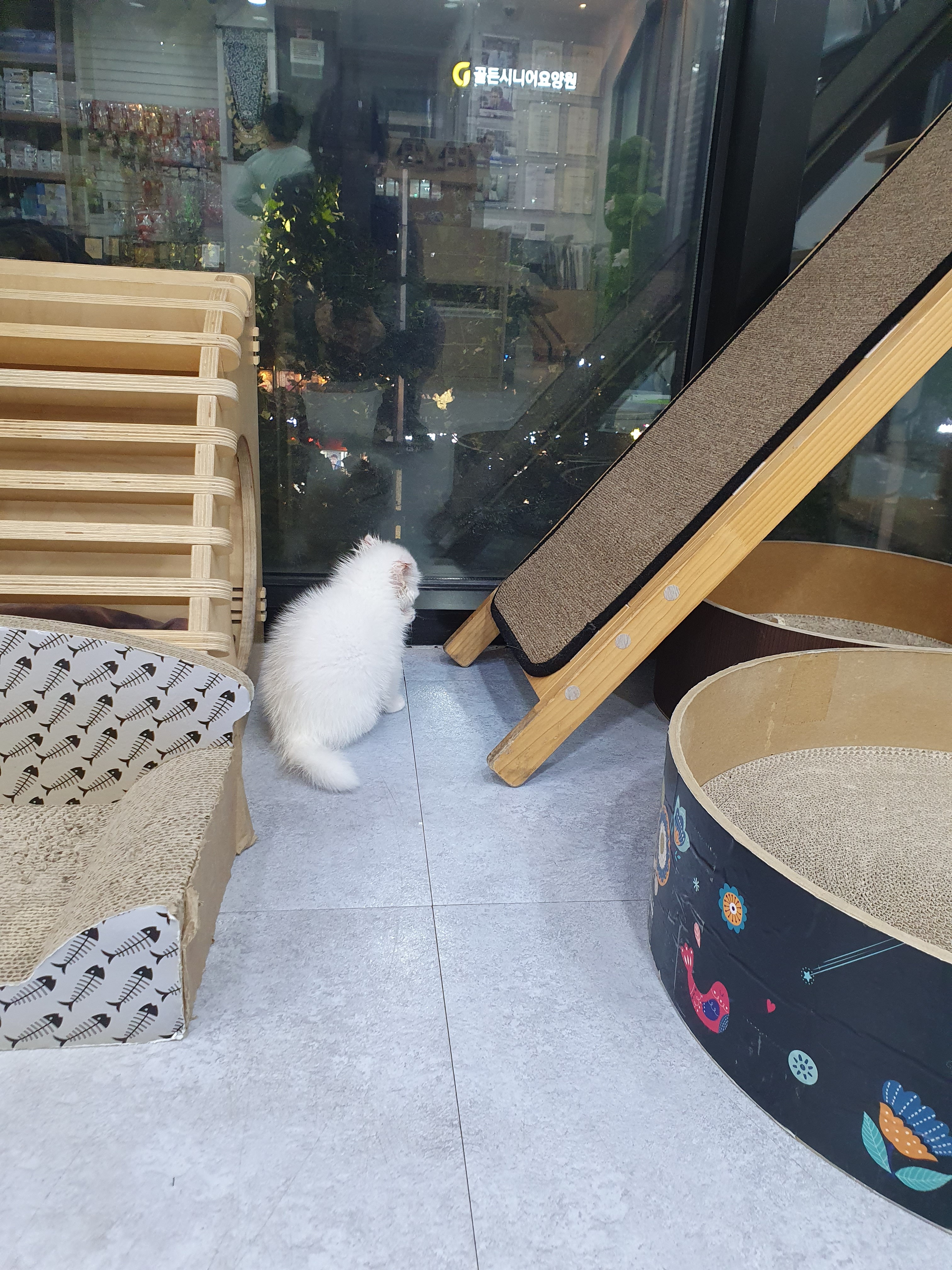 태능동물병원 사진 5