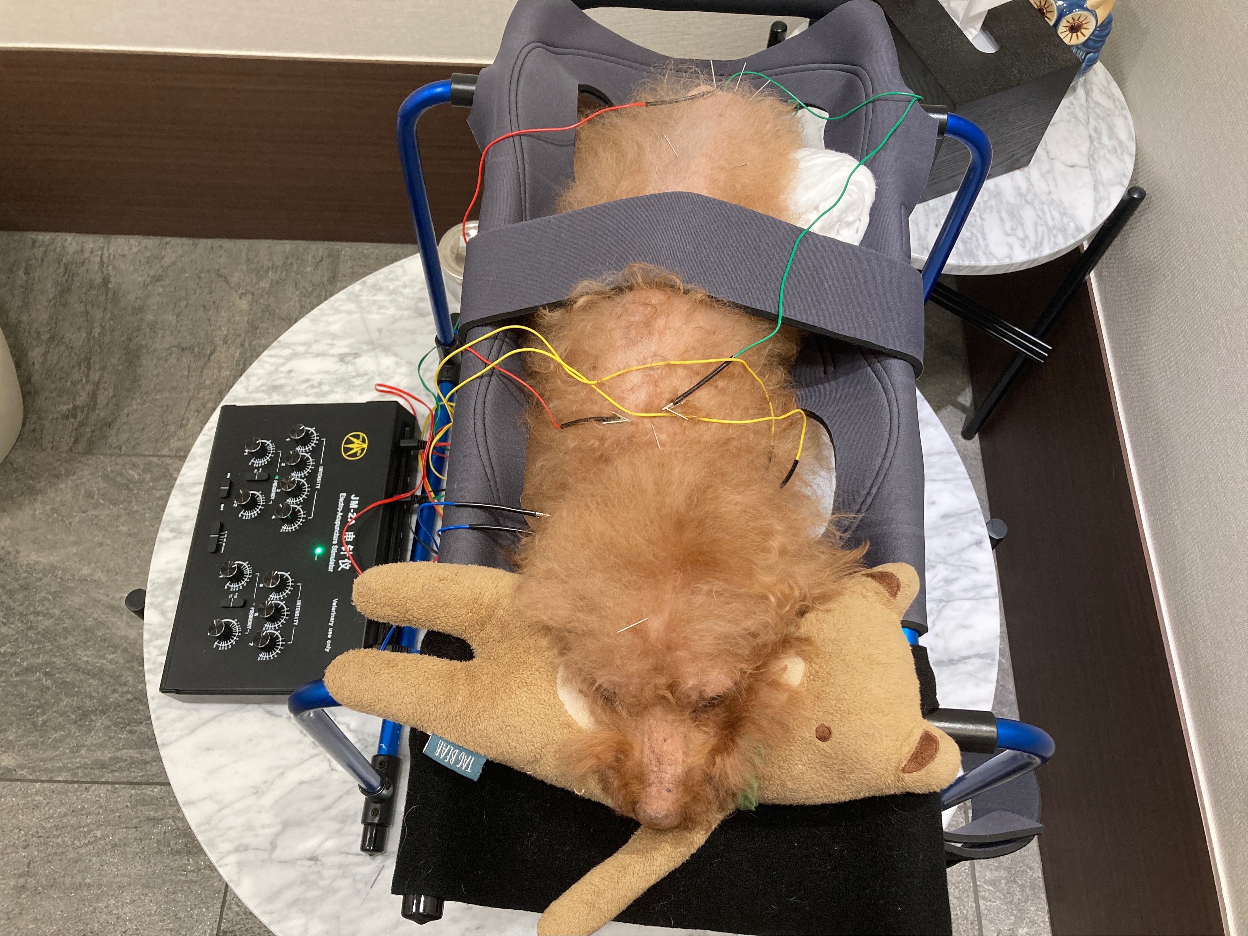 리뷰 사진 2
