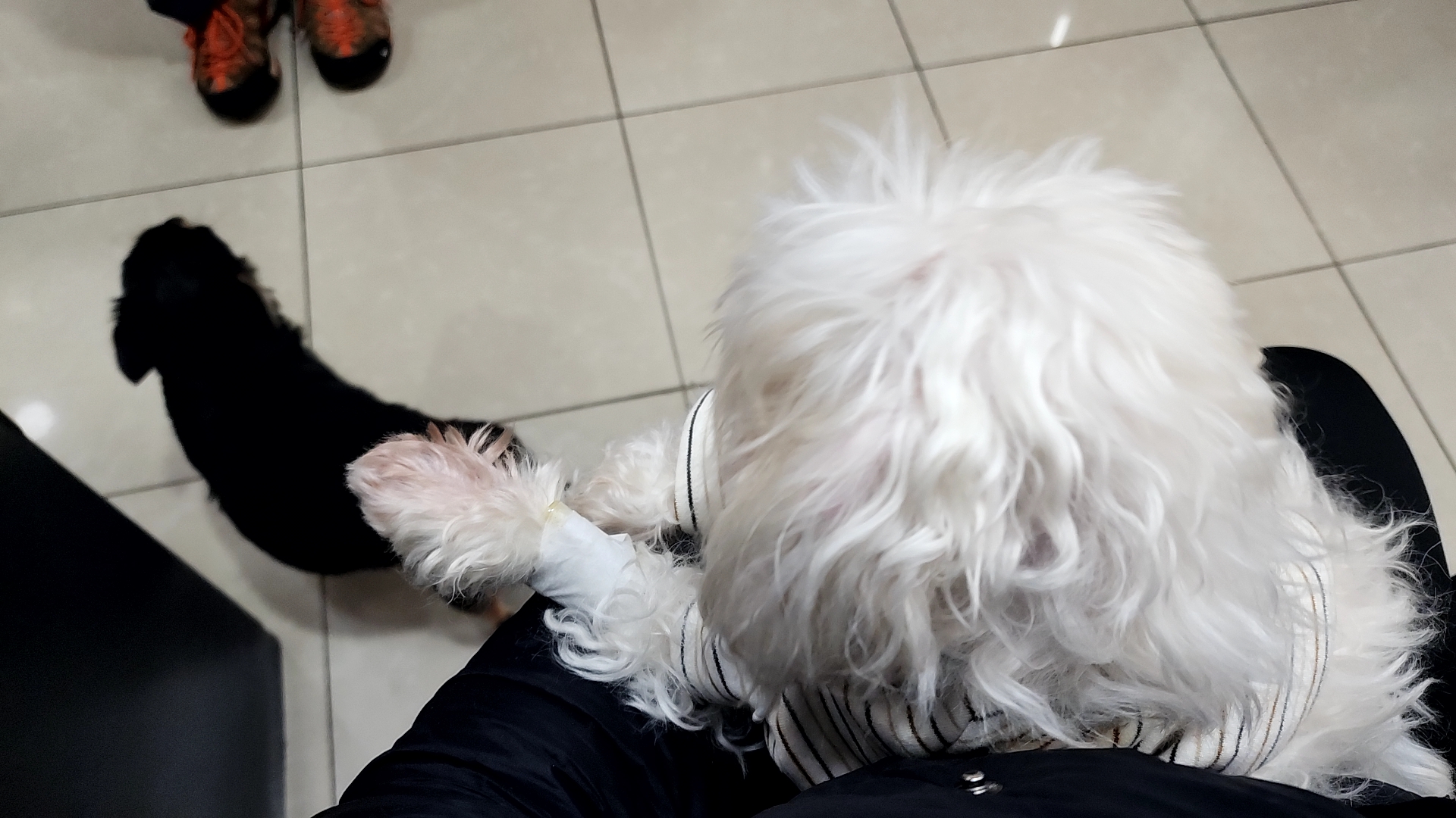 리뷰 사진 1