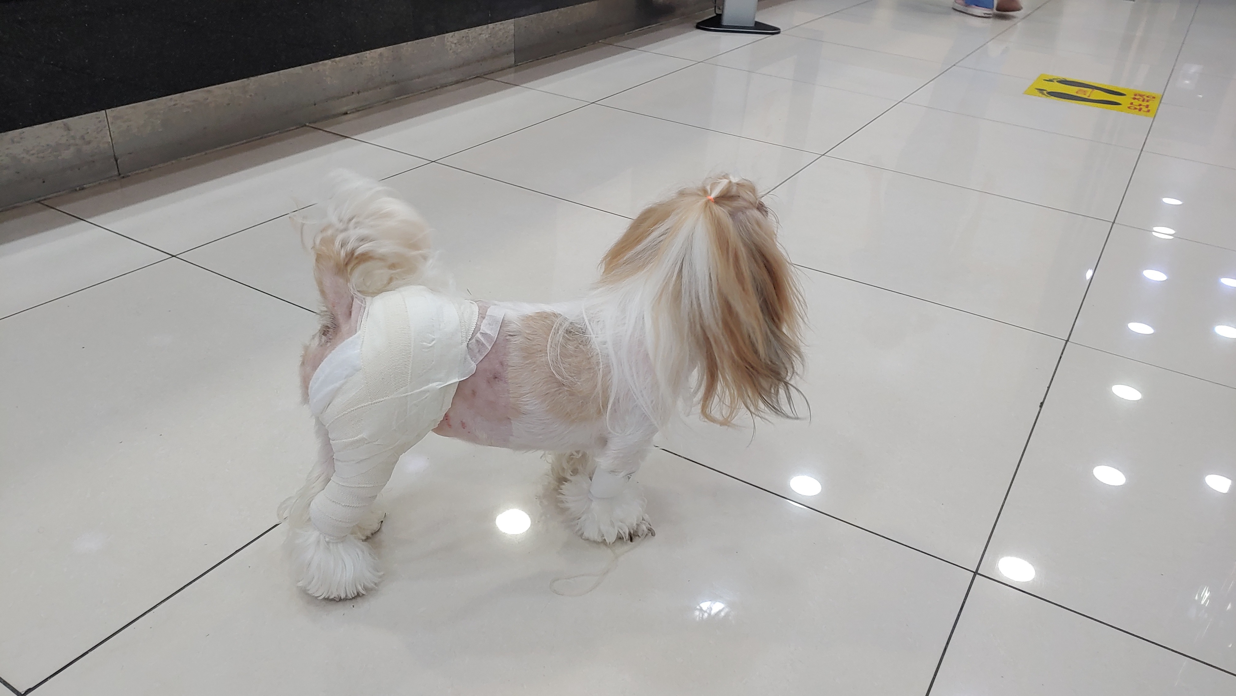 리뷰 사진 4
