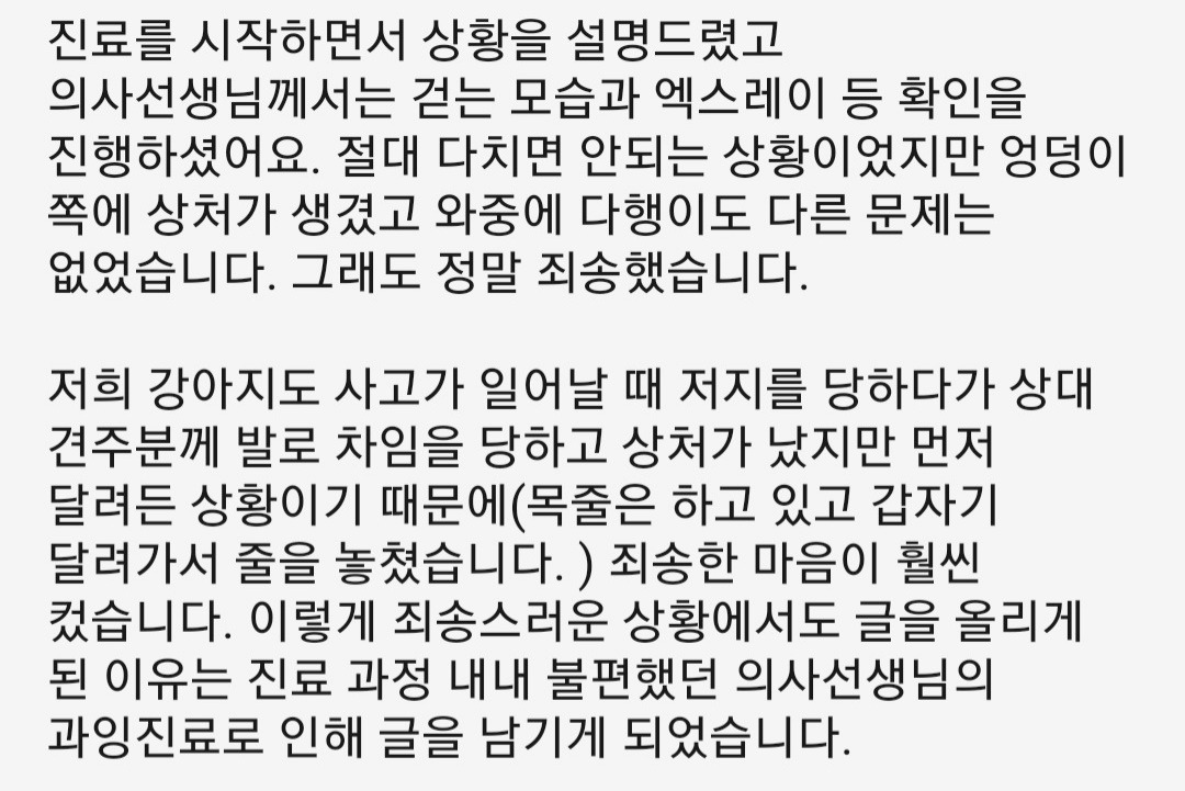 리뷰 사진 2