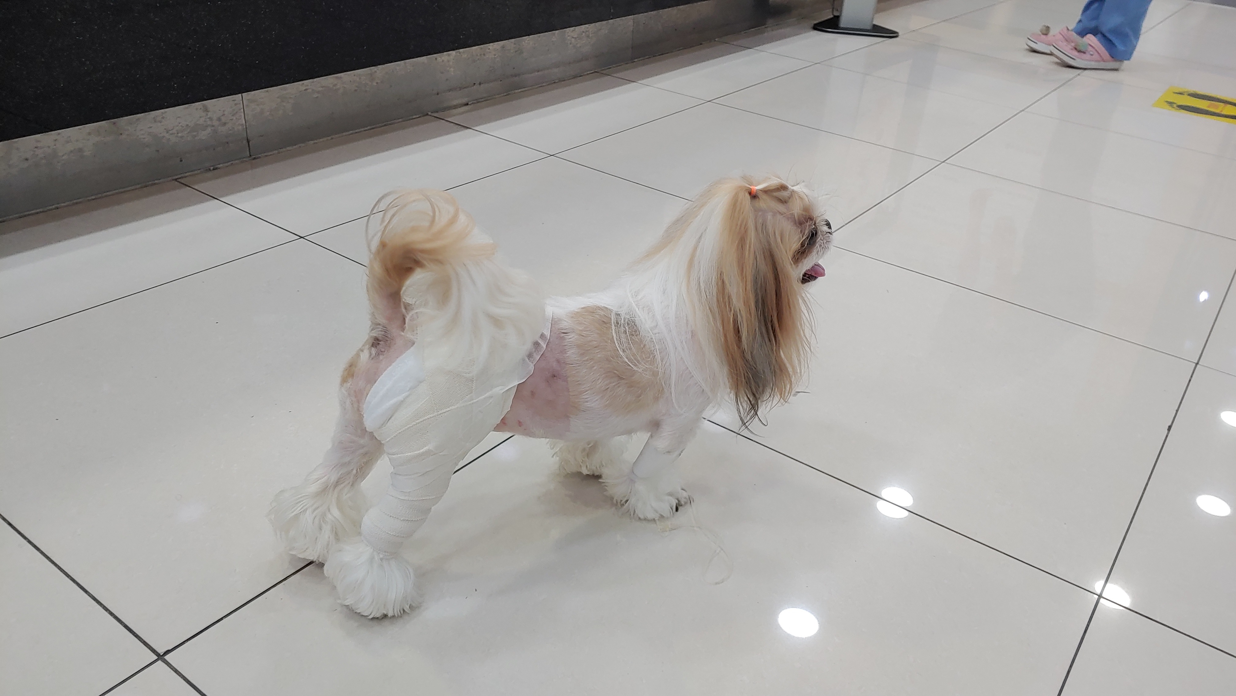 리뷰 사진 3