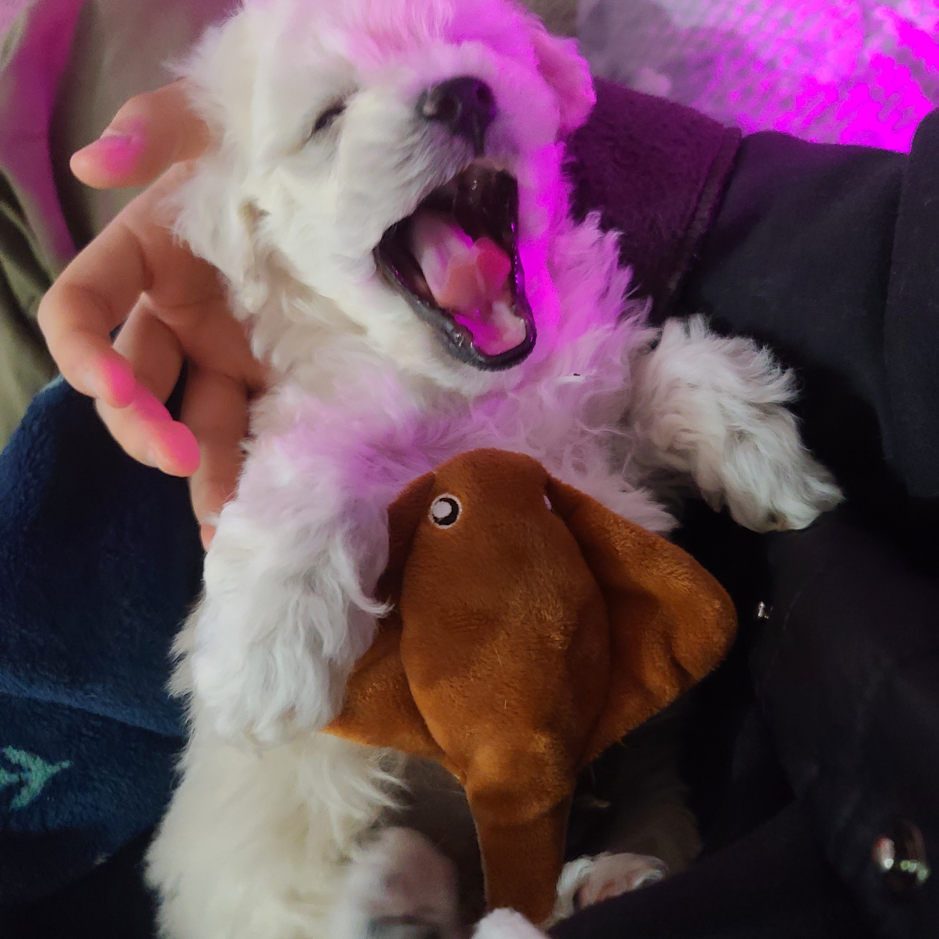 리뷰 사진 1