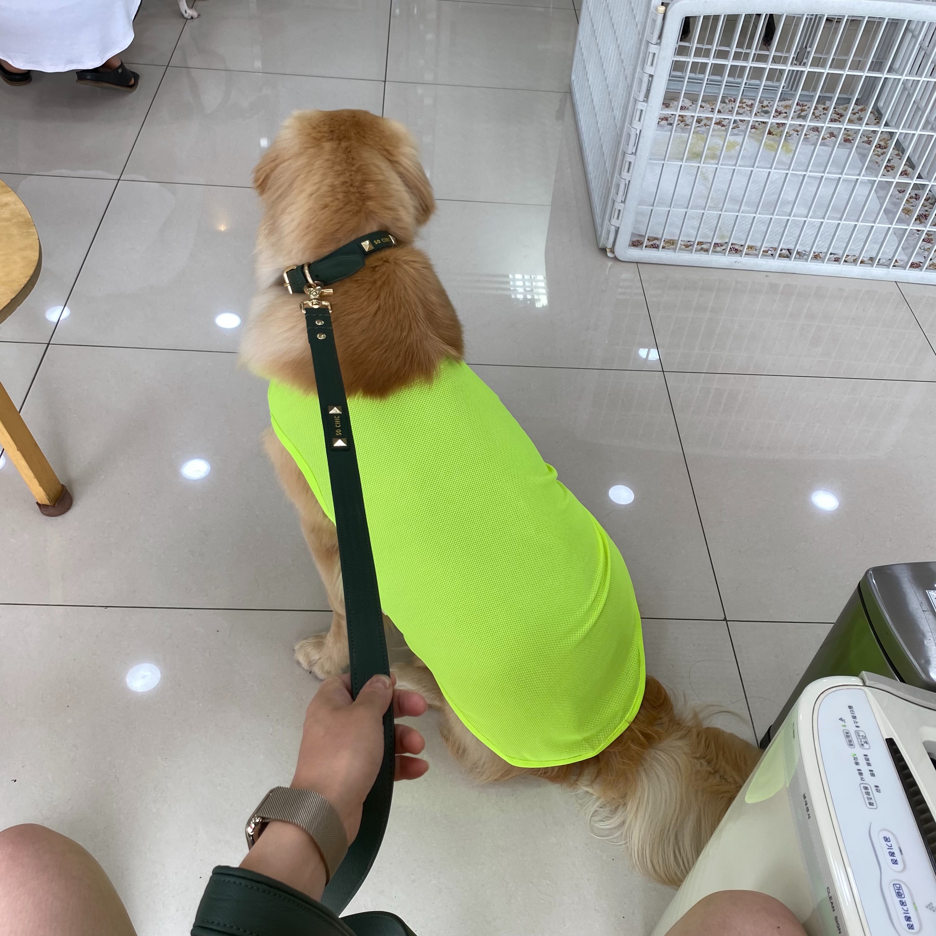 아인스동물병원 사진 2