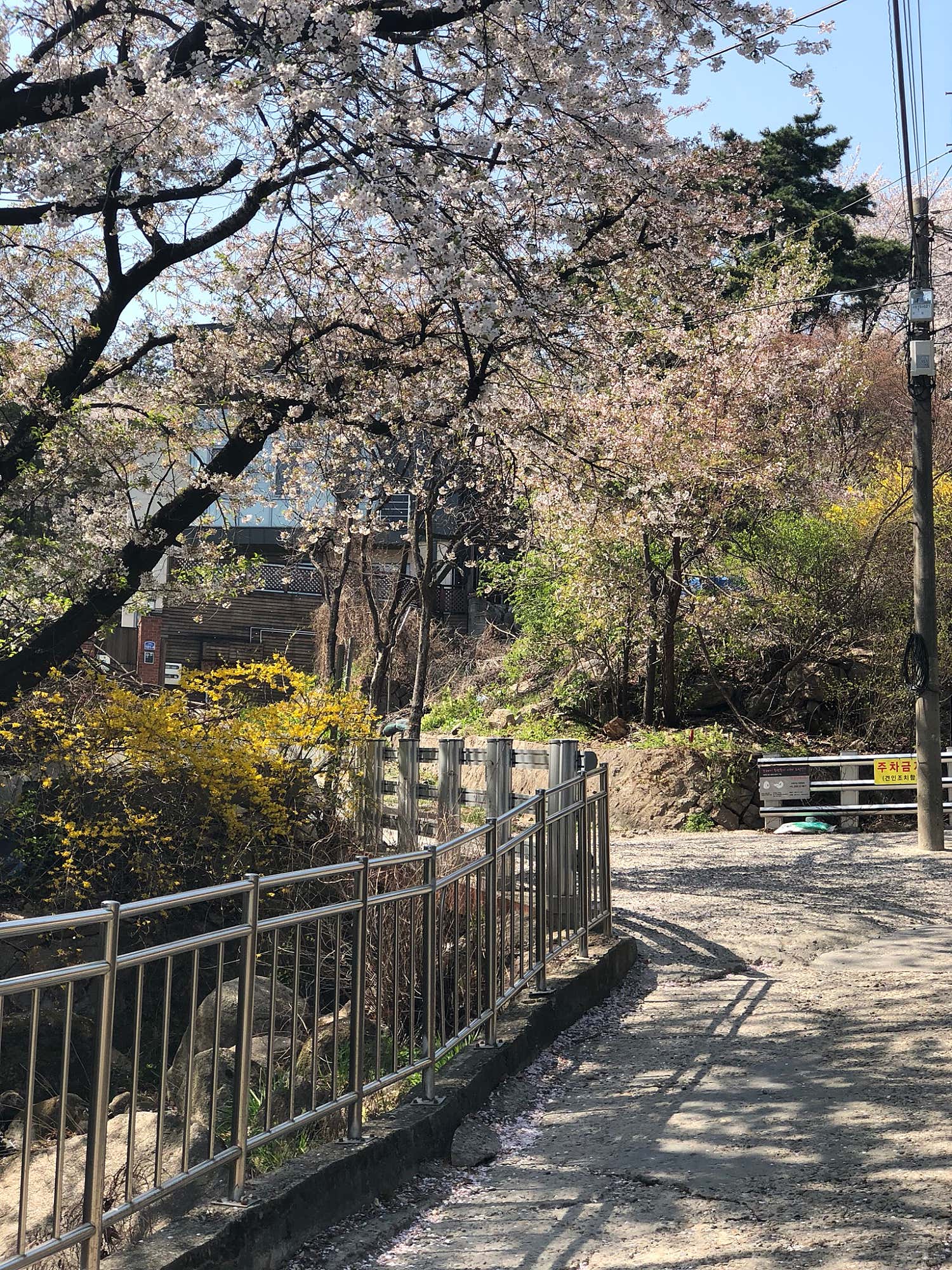 리뷰 μ΄λ―Έμ§ 1