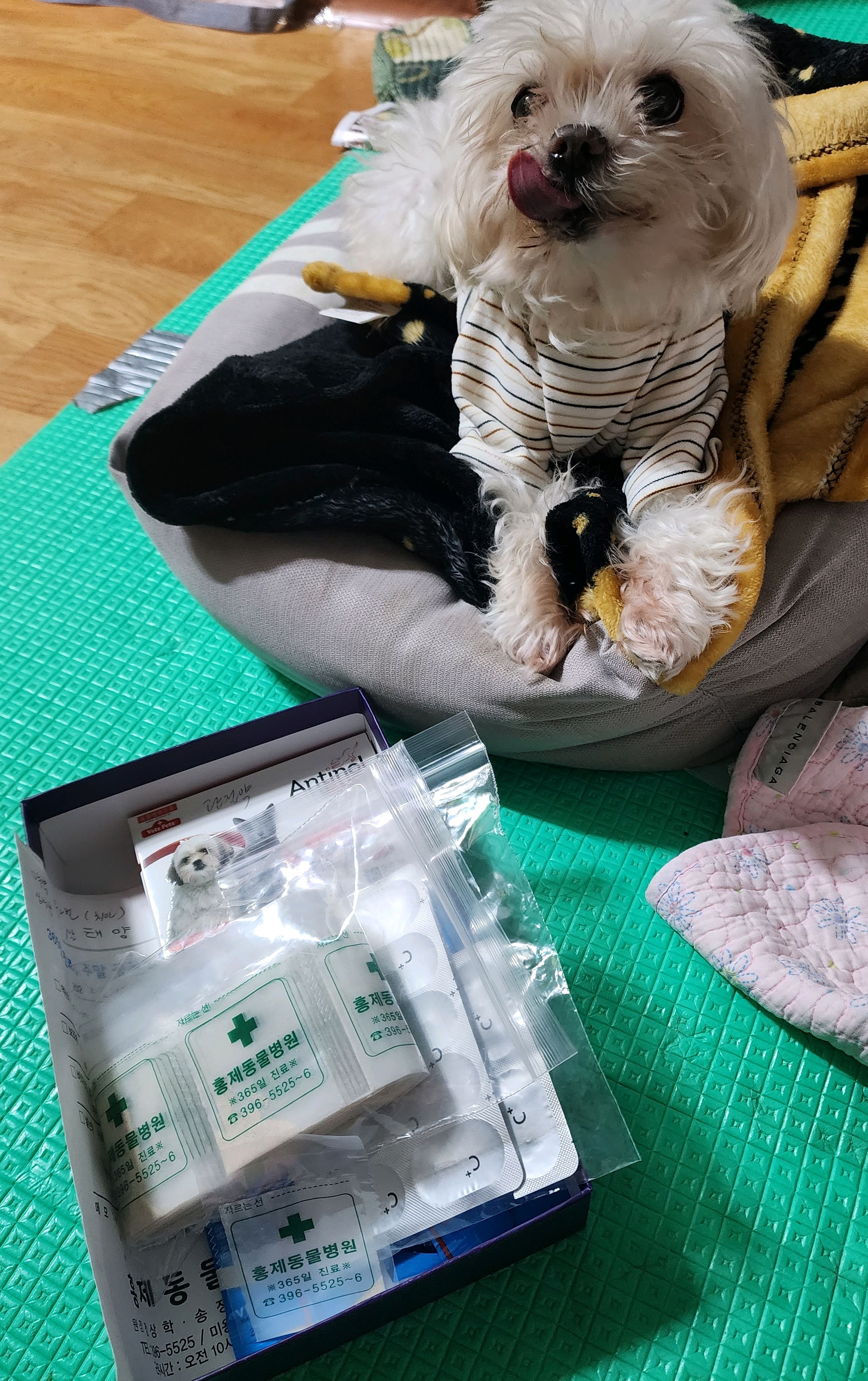 리뷰 사진 2