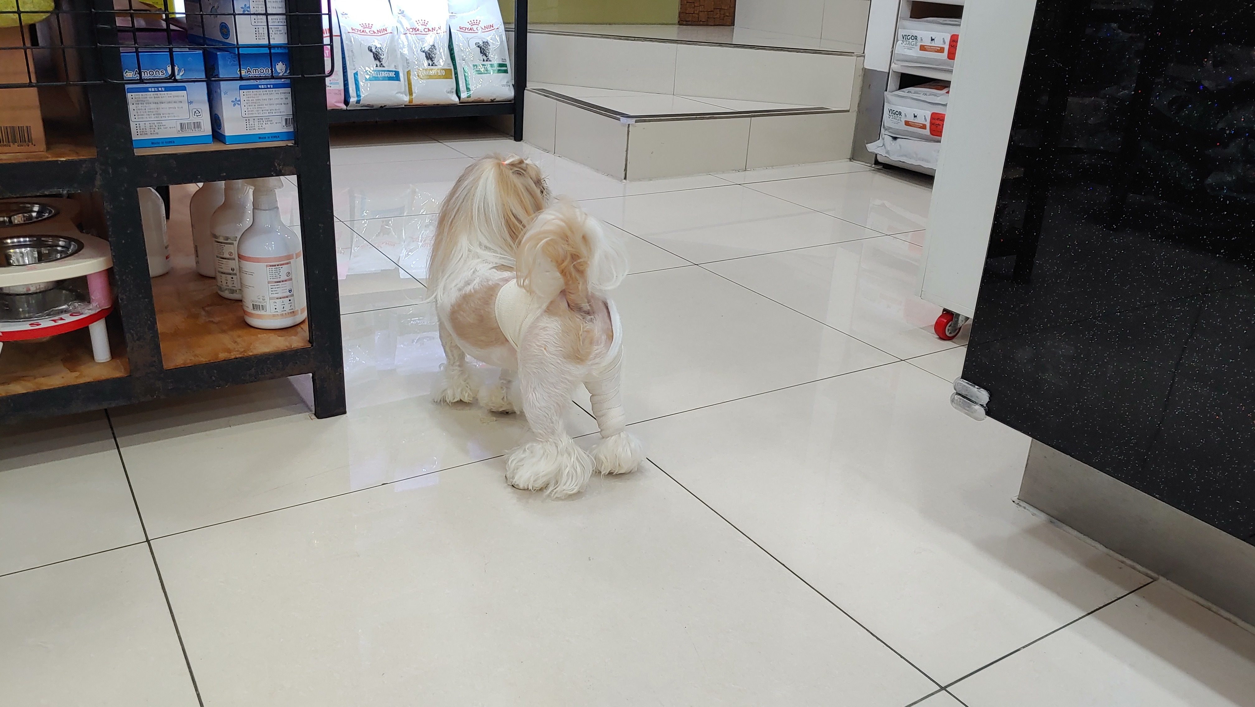 리뷰 사진 2