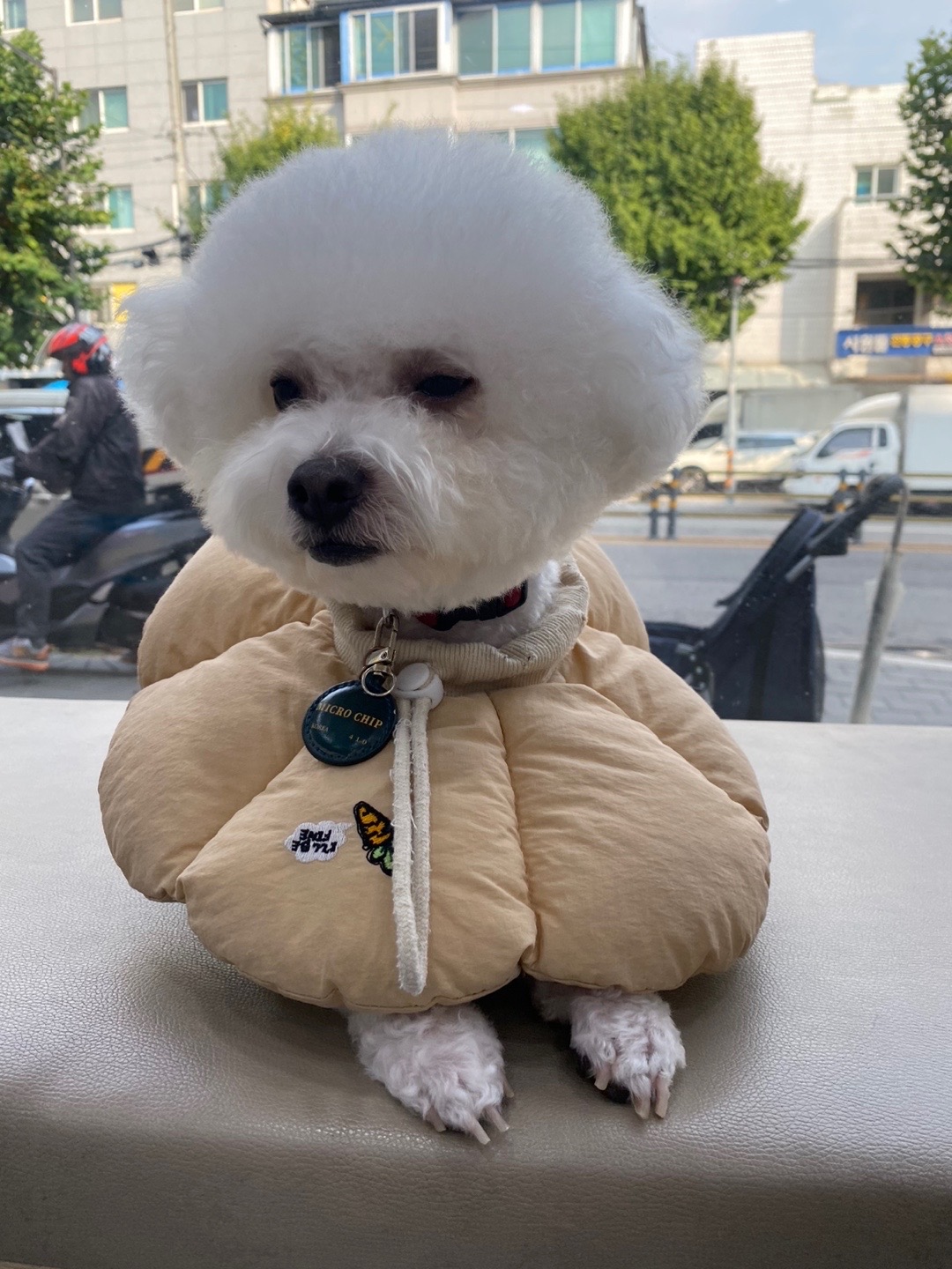 리뷰 사진 3