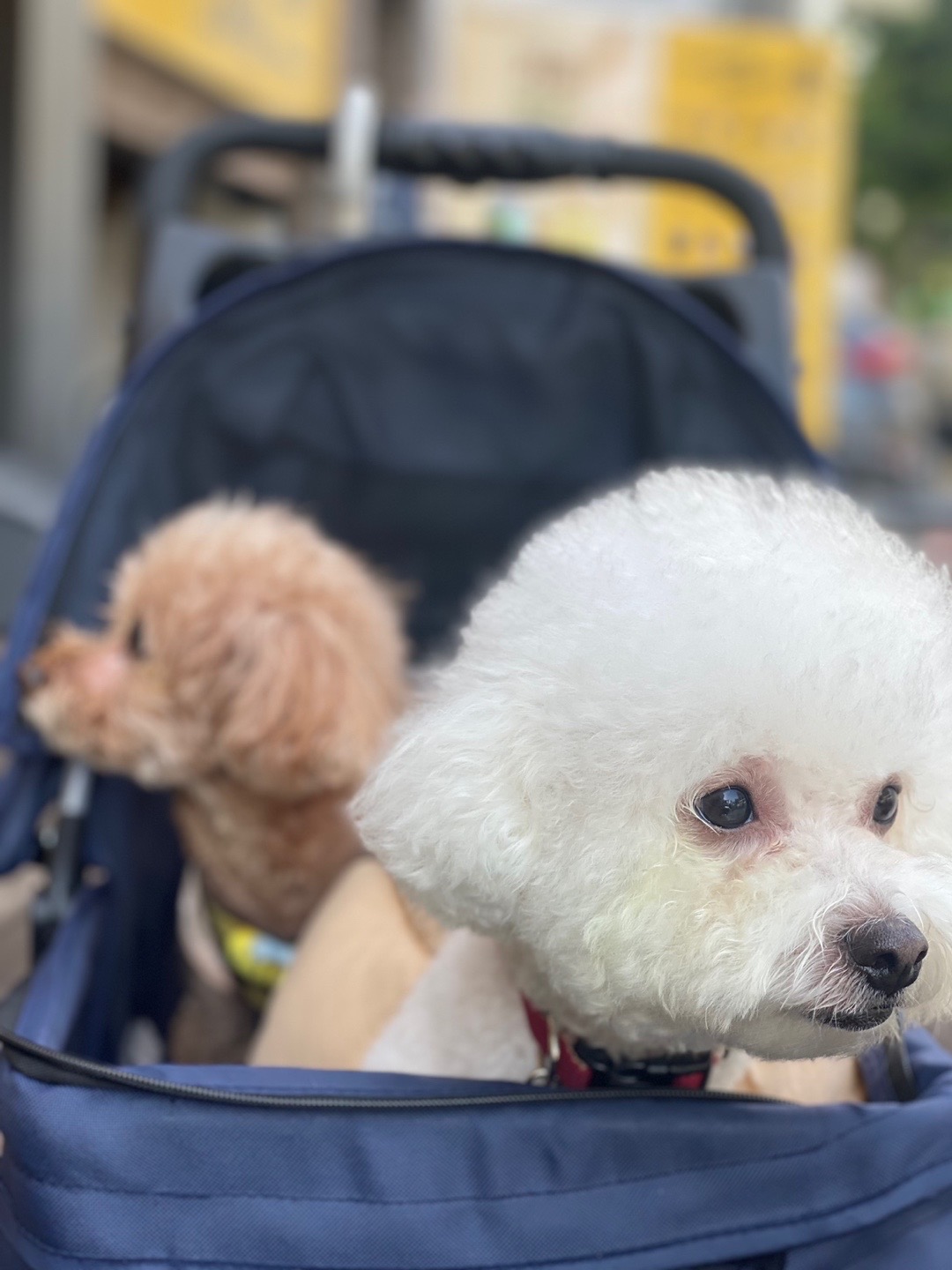 리뷰 사진 2