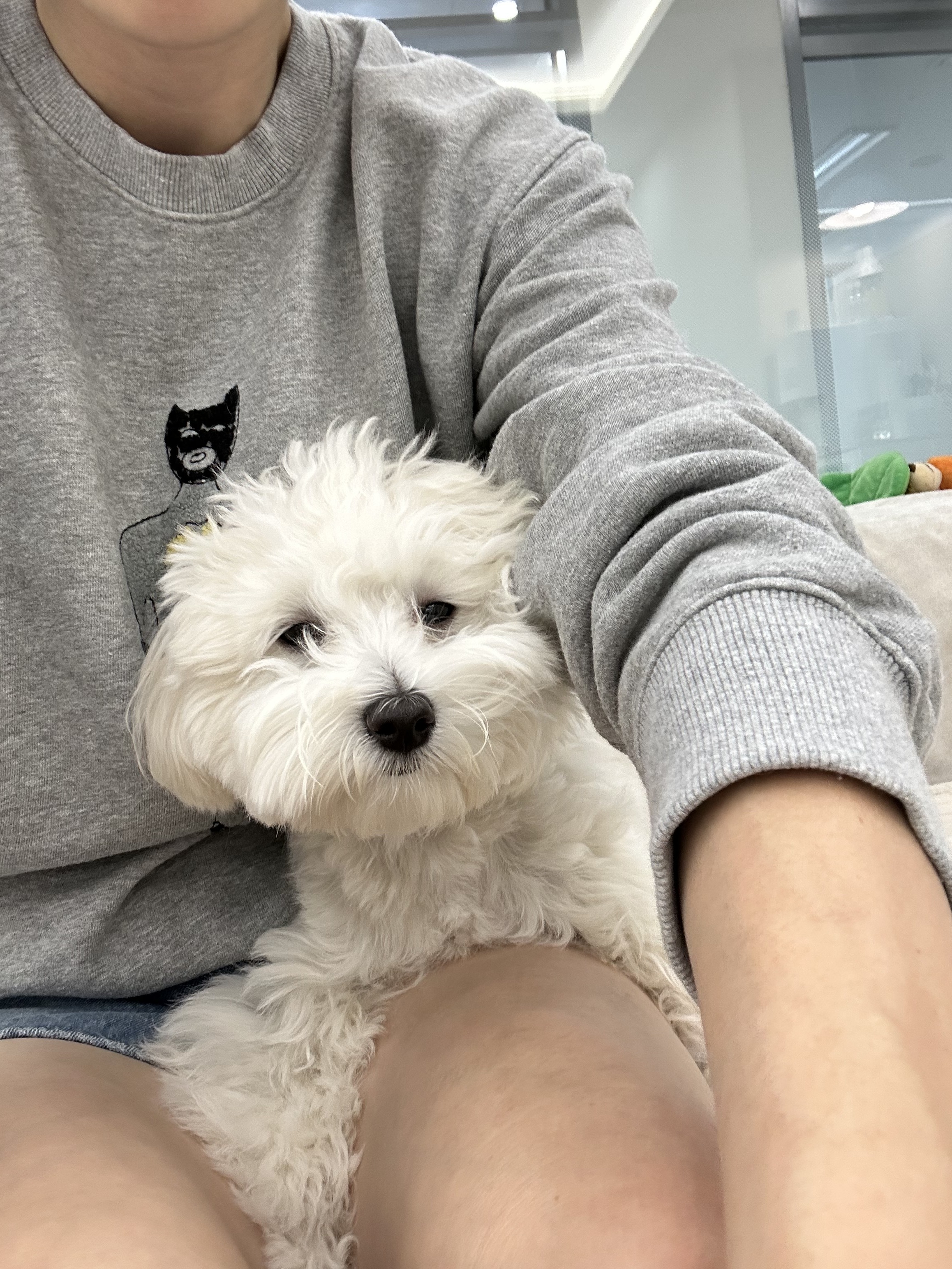 리뷰 사진 2