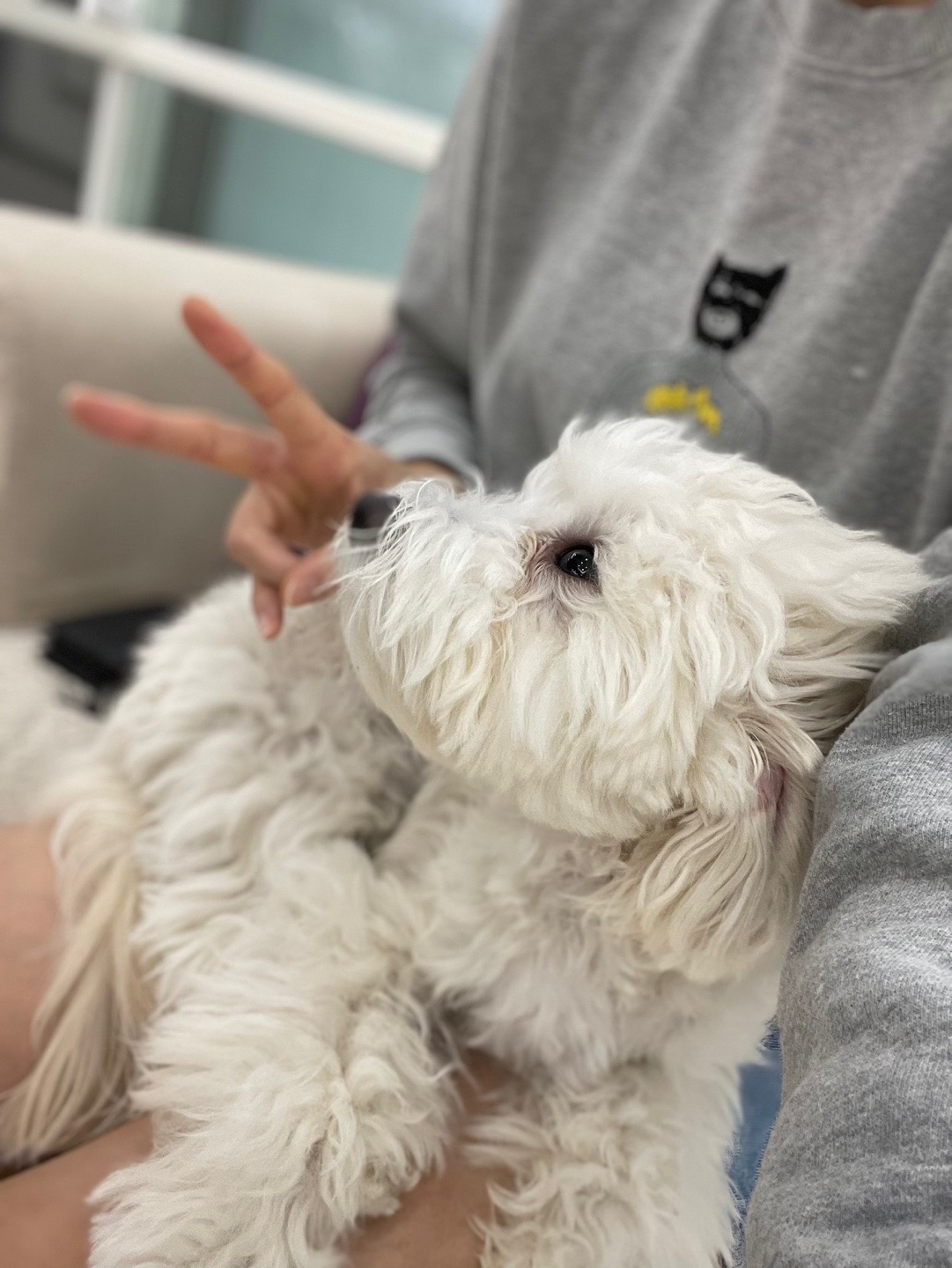 리뷰 사진 1
