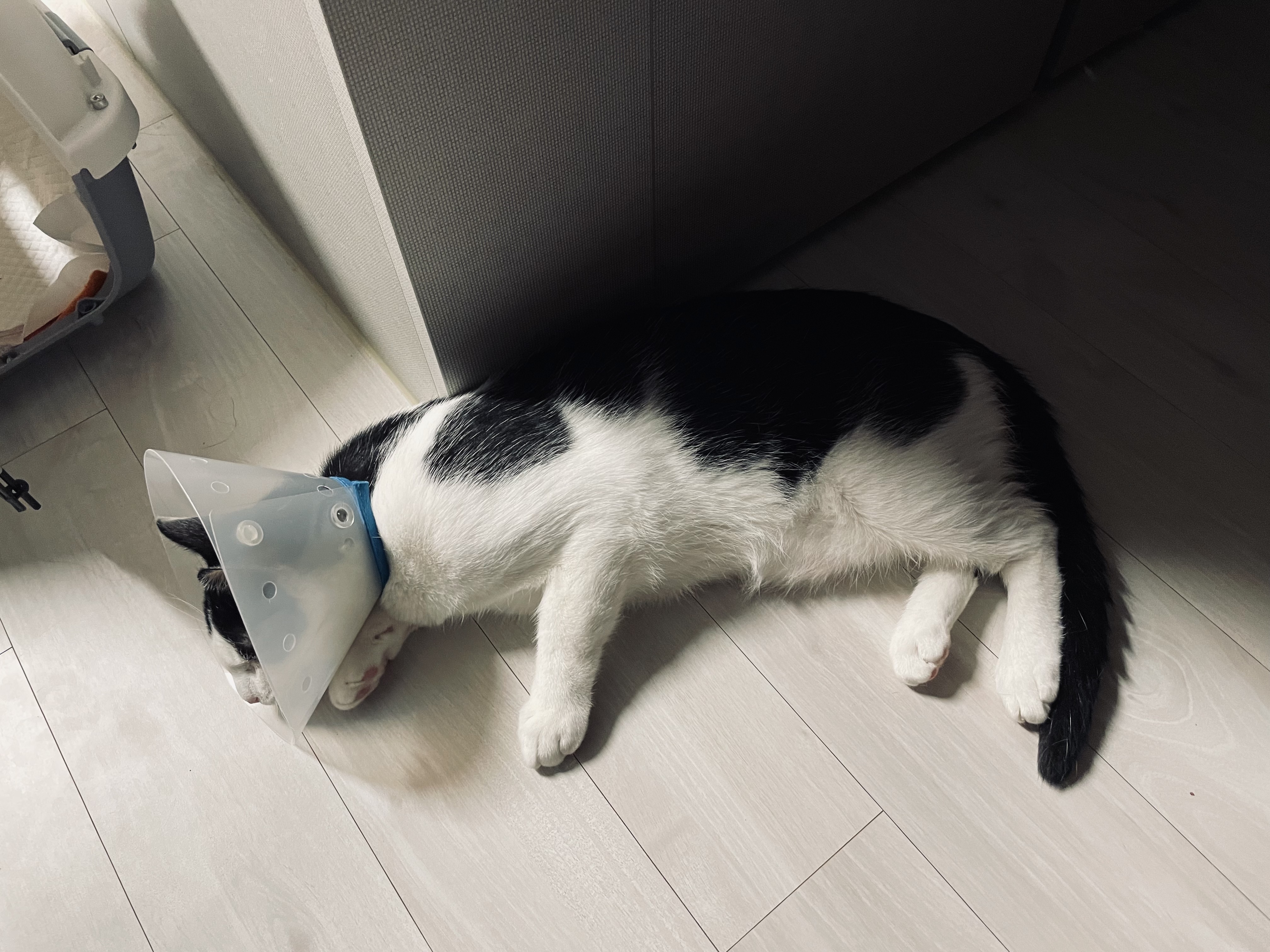 리뷰 사진 1