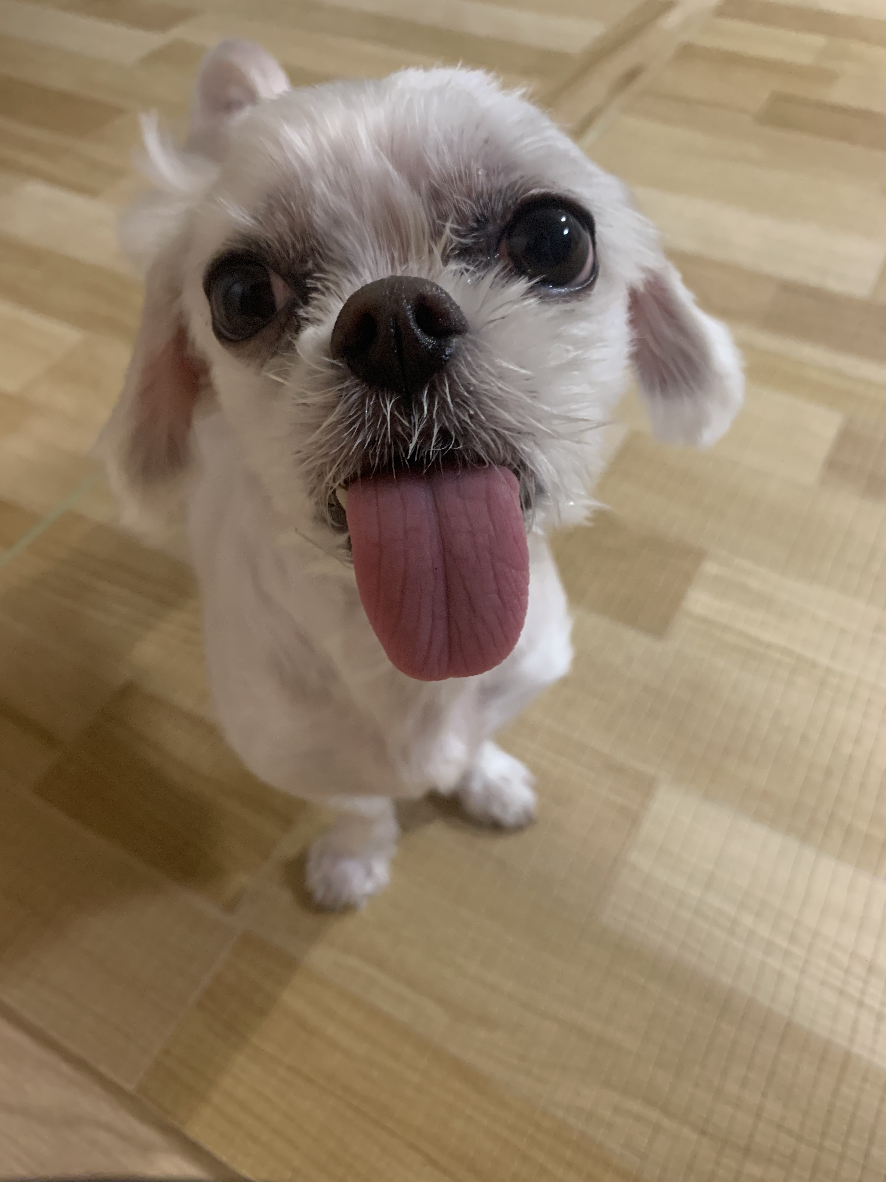 리뷰 사진 1