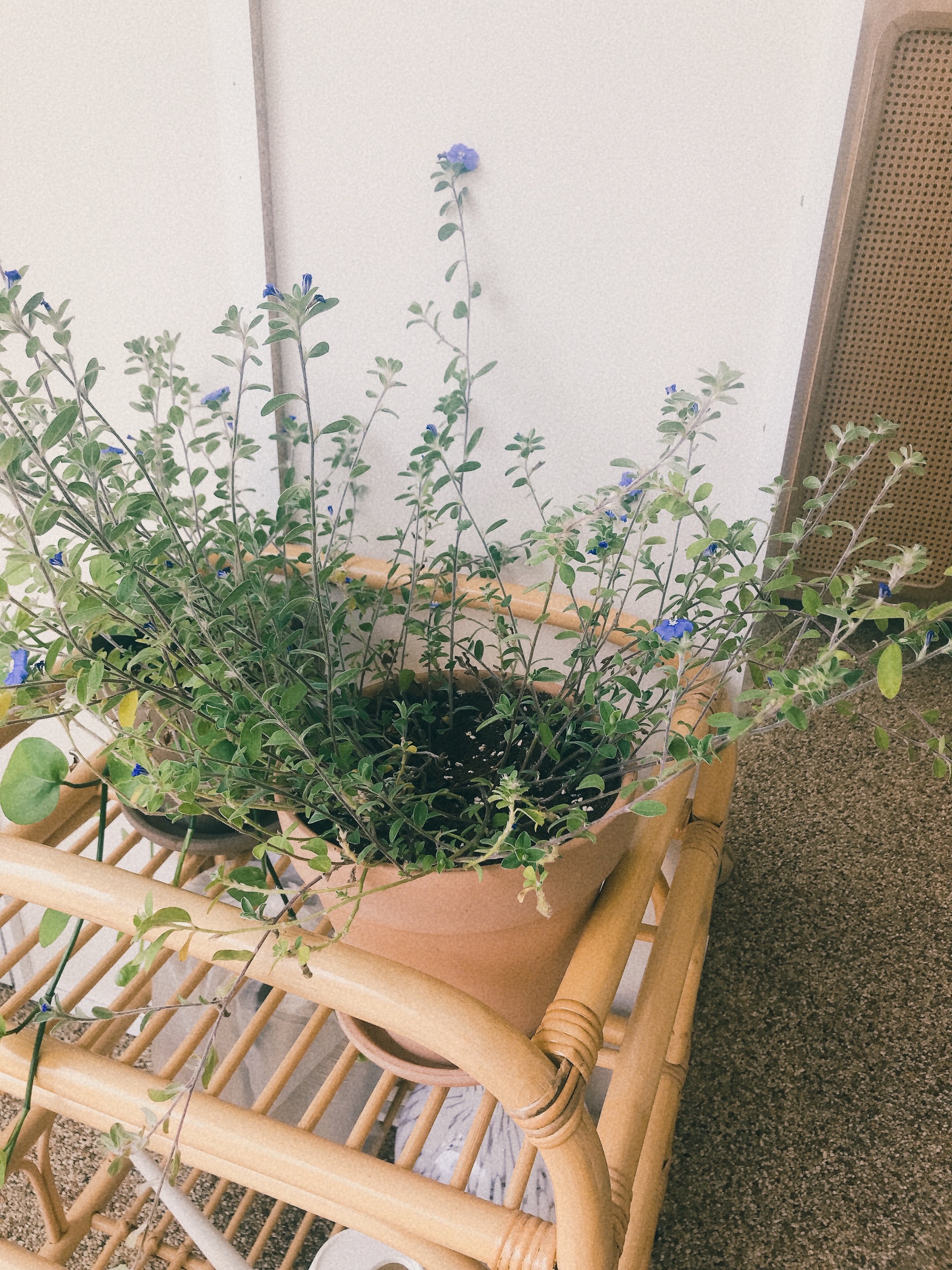 카페 내부 테이블