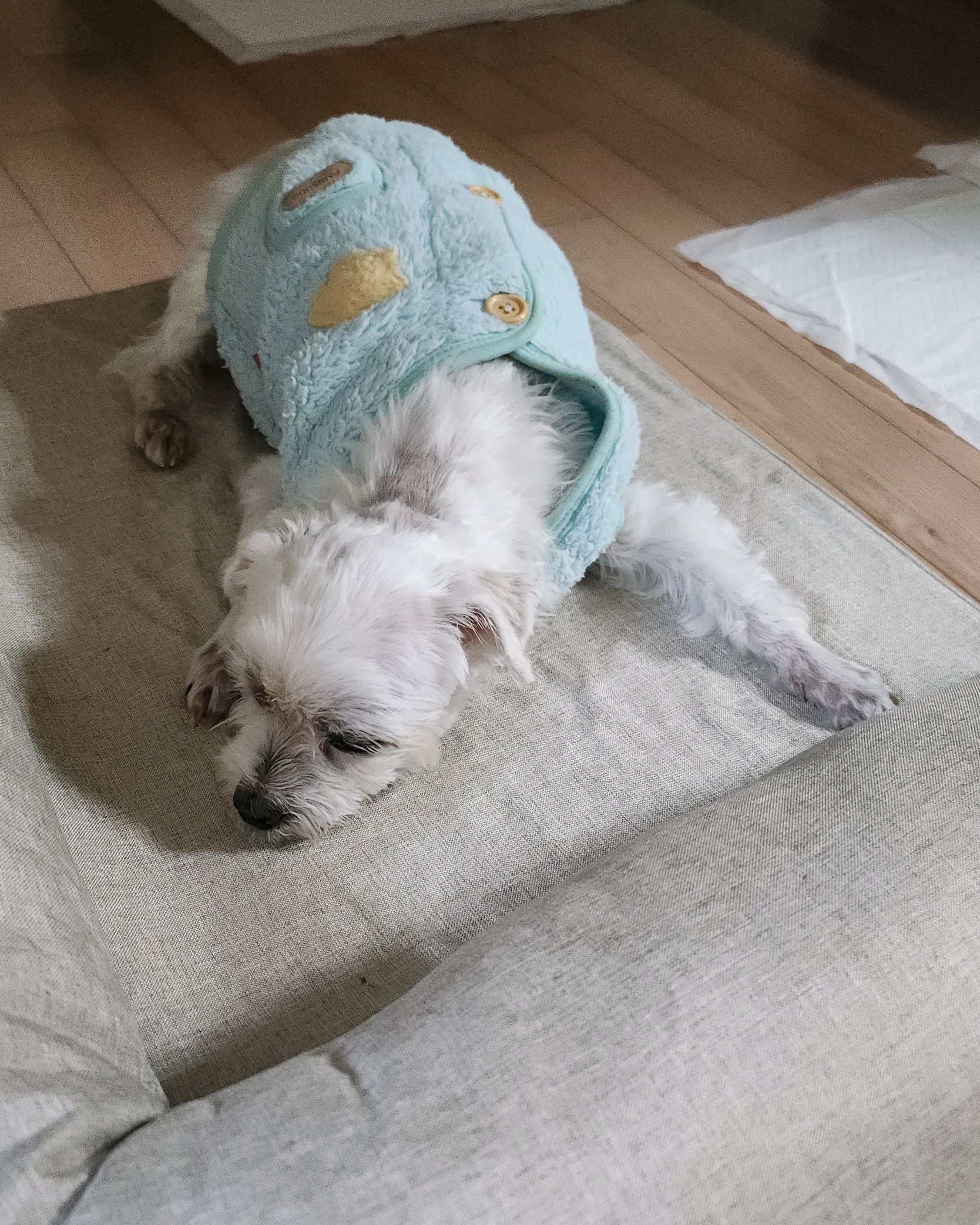리뷰 사진 1