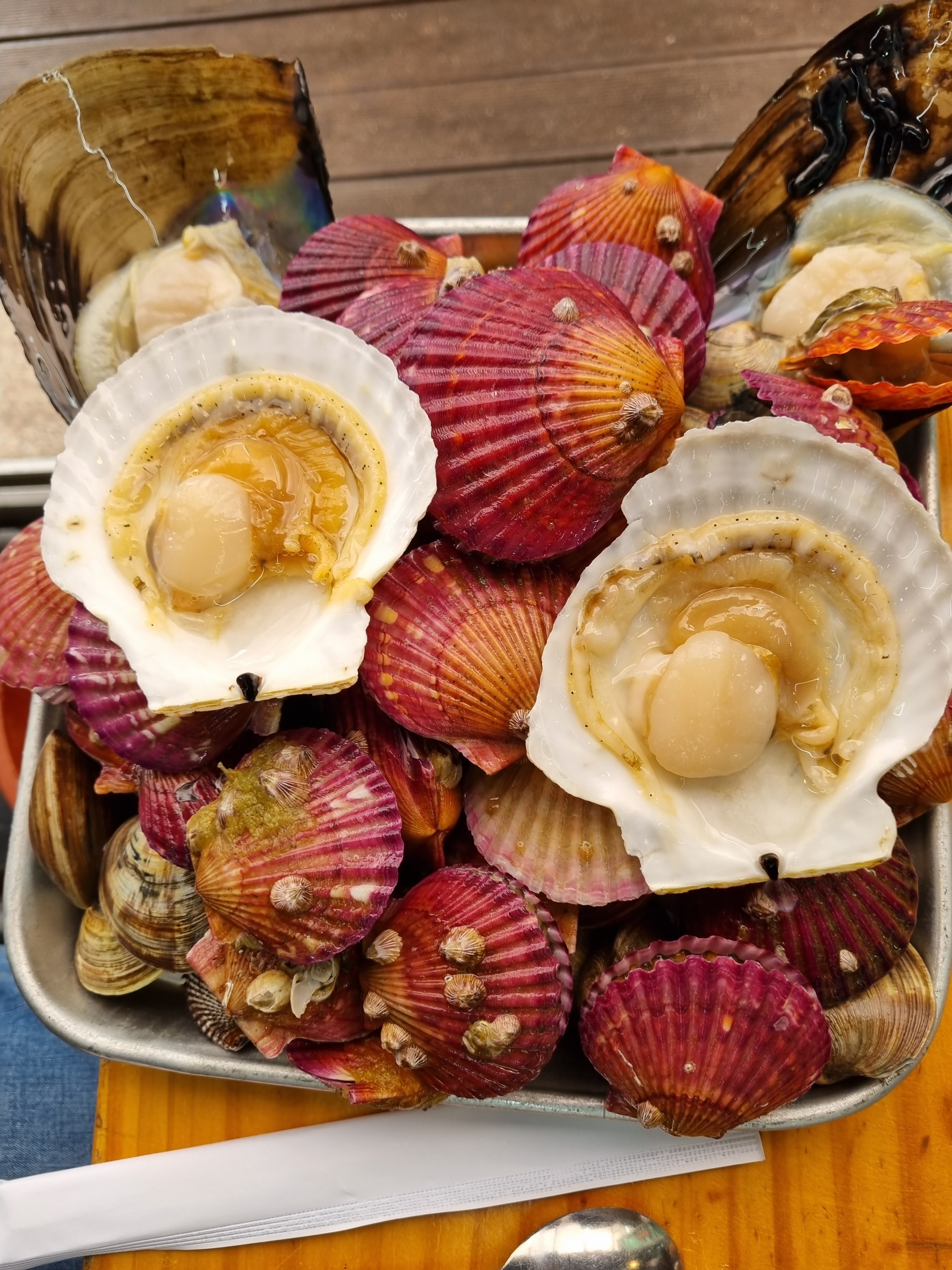 대천 맛집 [육해공 조개구이 해물삼합] 직접 가본 로컬 리뷰