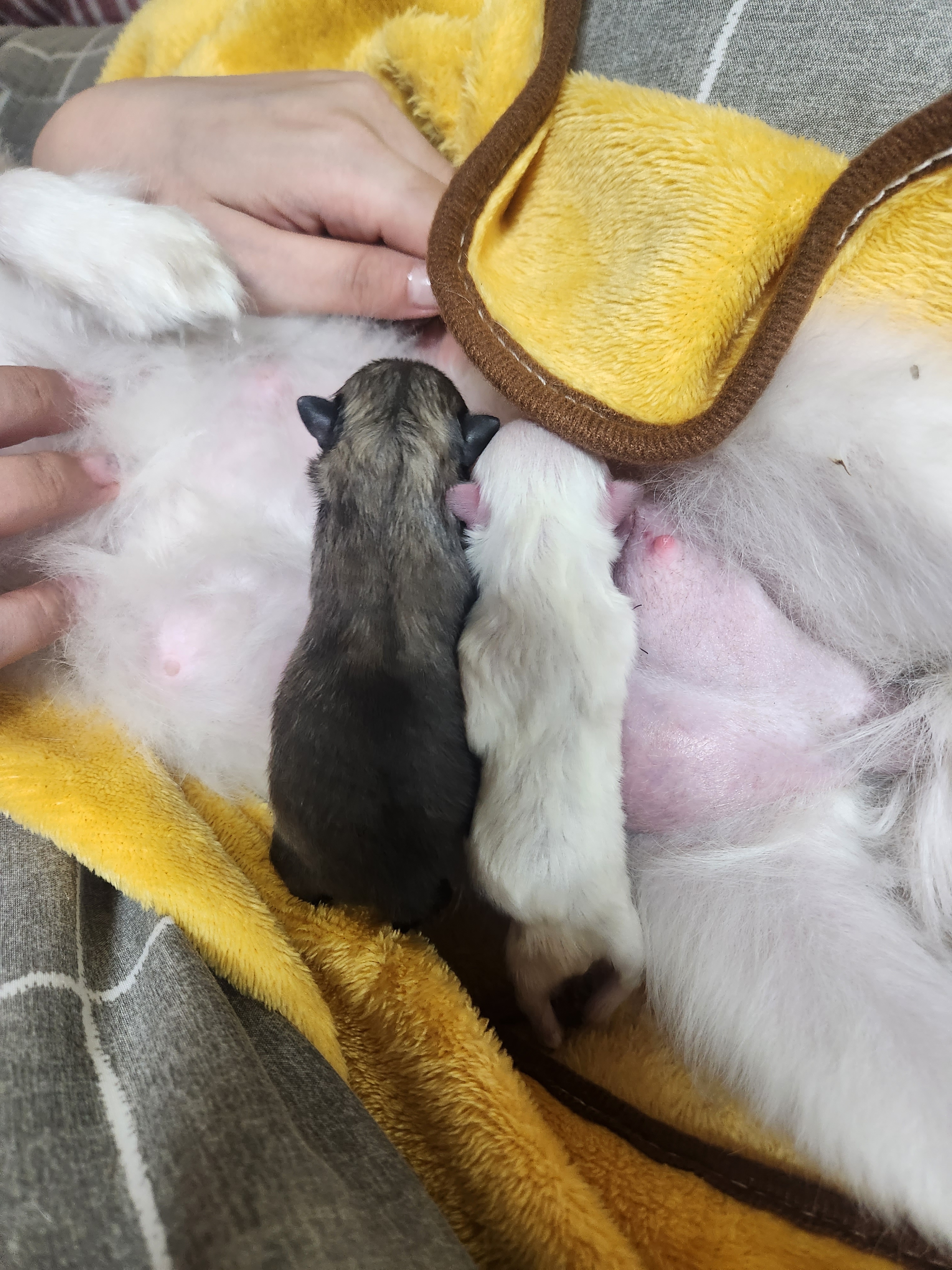 리뷰 사진 2