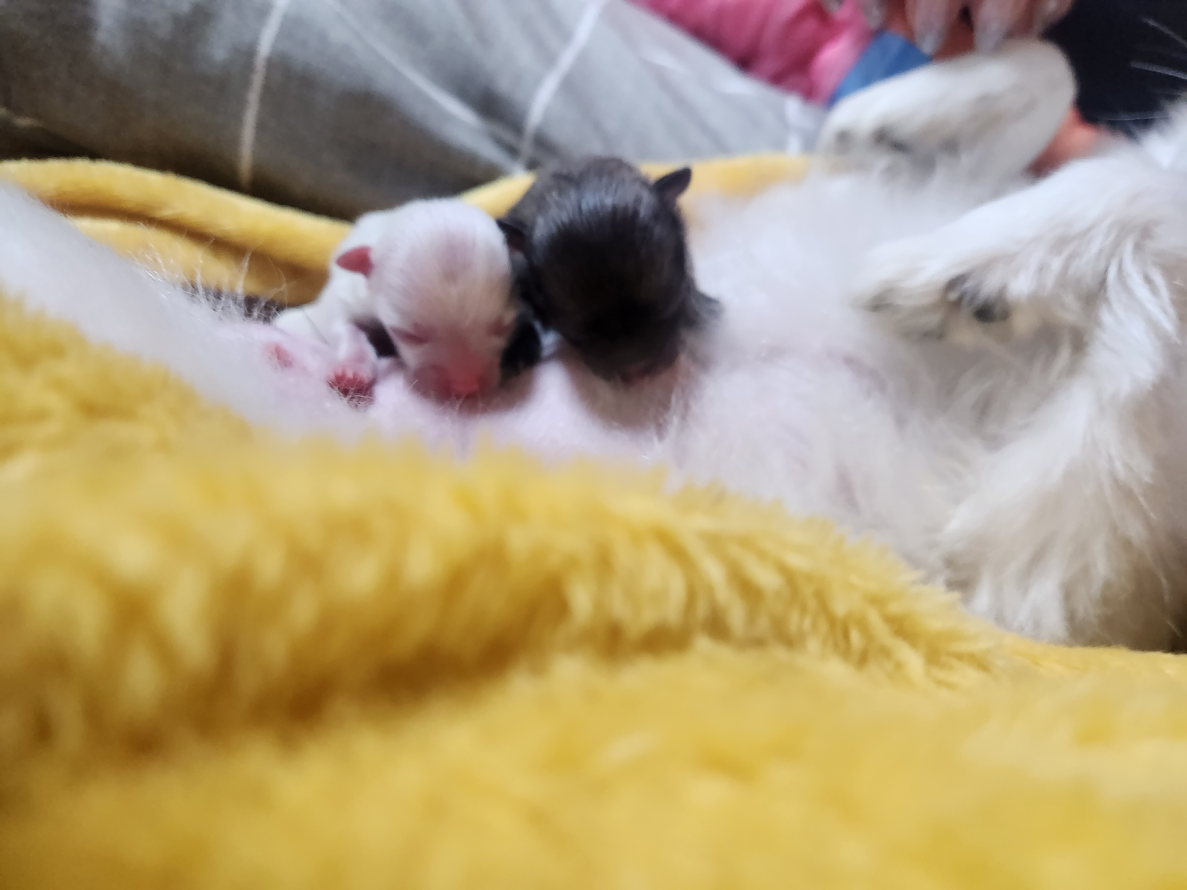 리뷰 사진 3