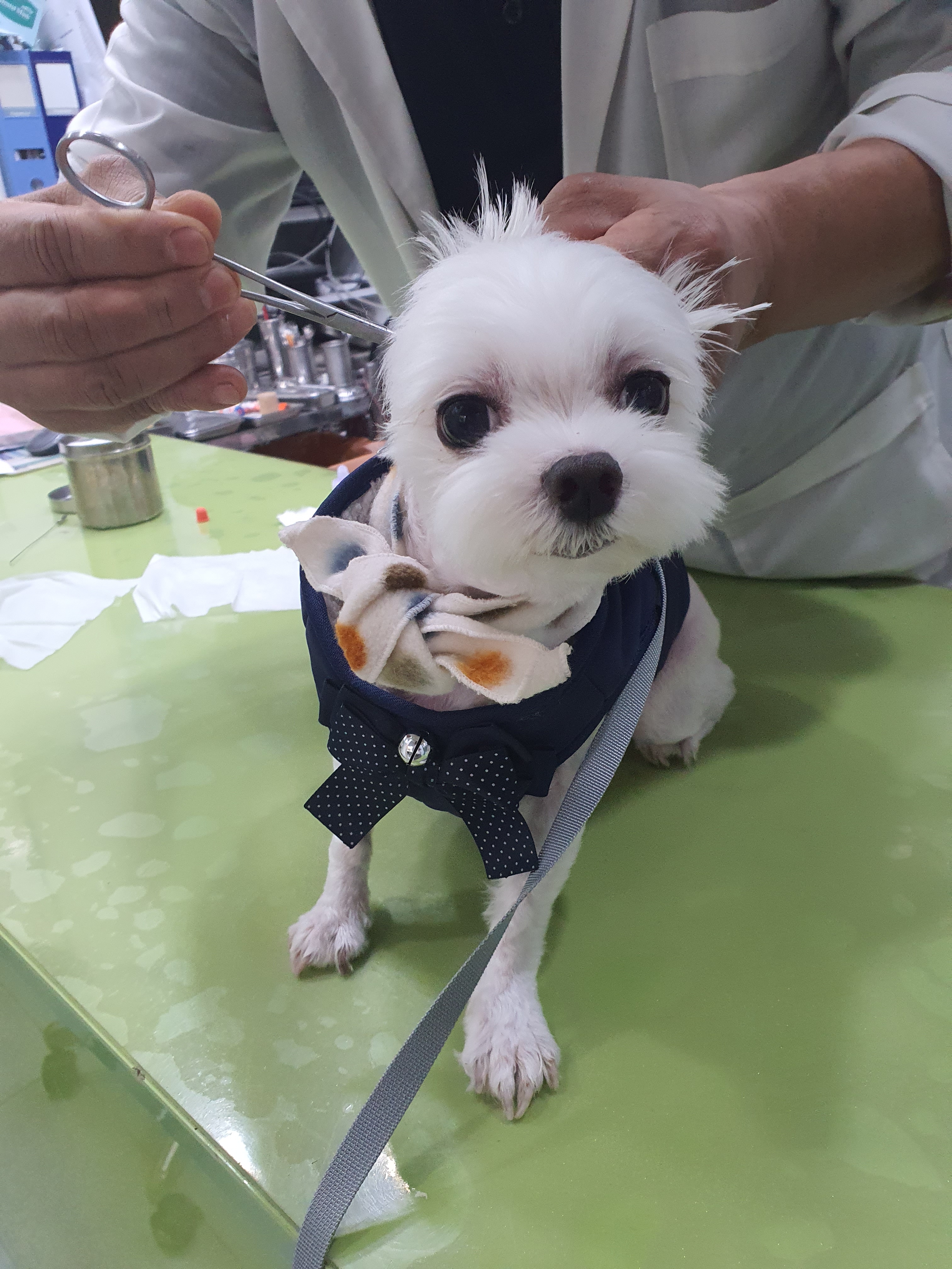 리뷰 사진 1