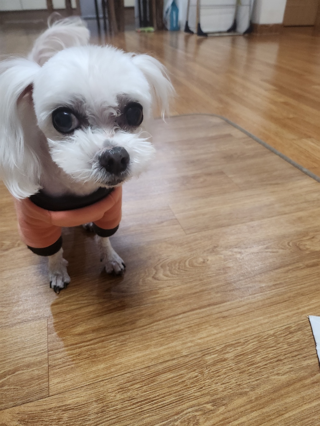 리뷰 사진 1
