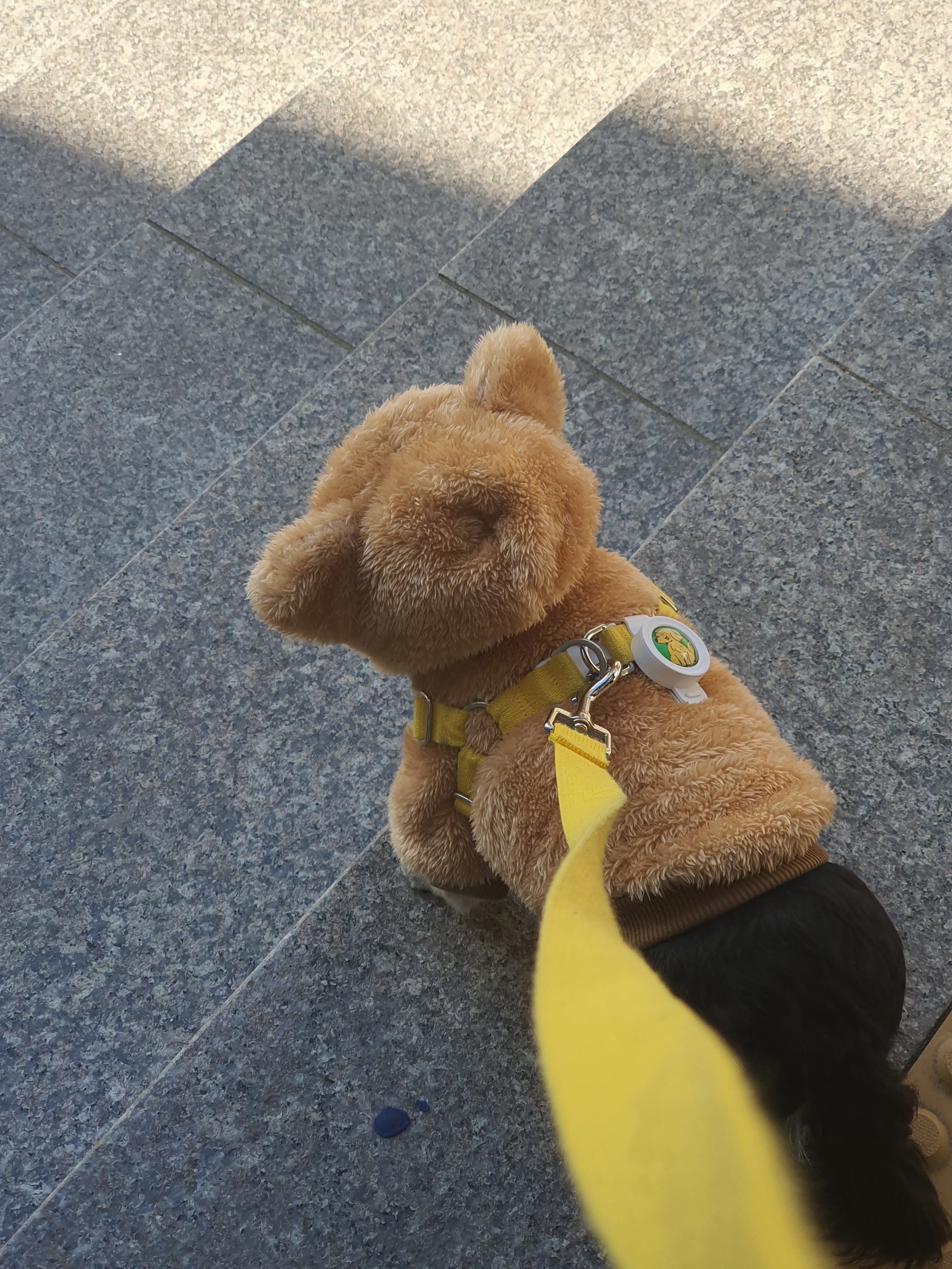 리뷰 사진 1