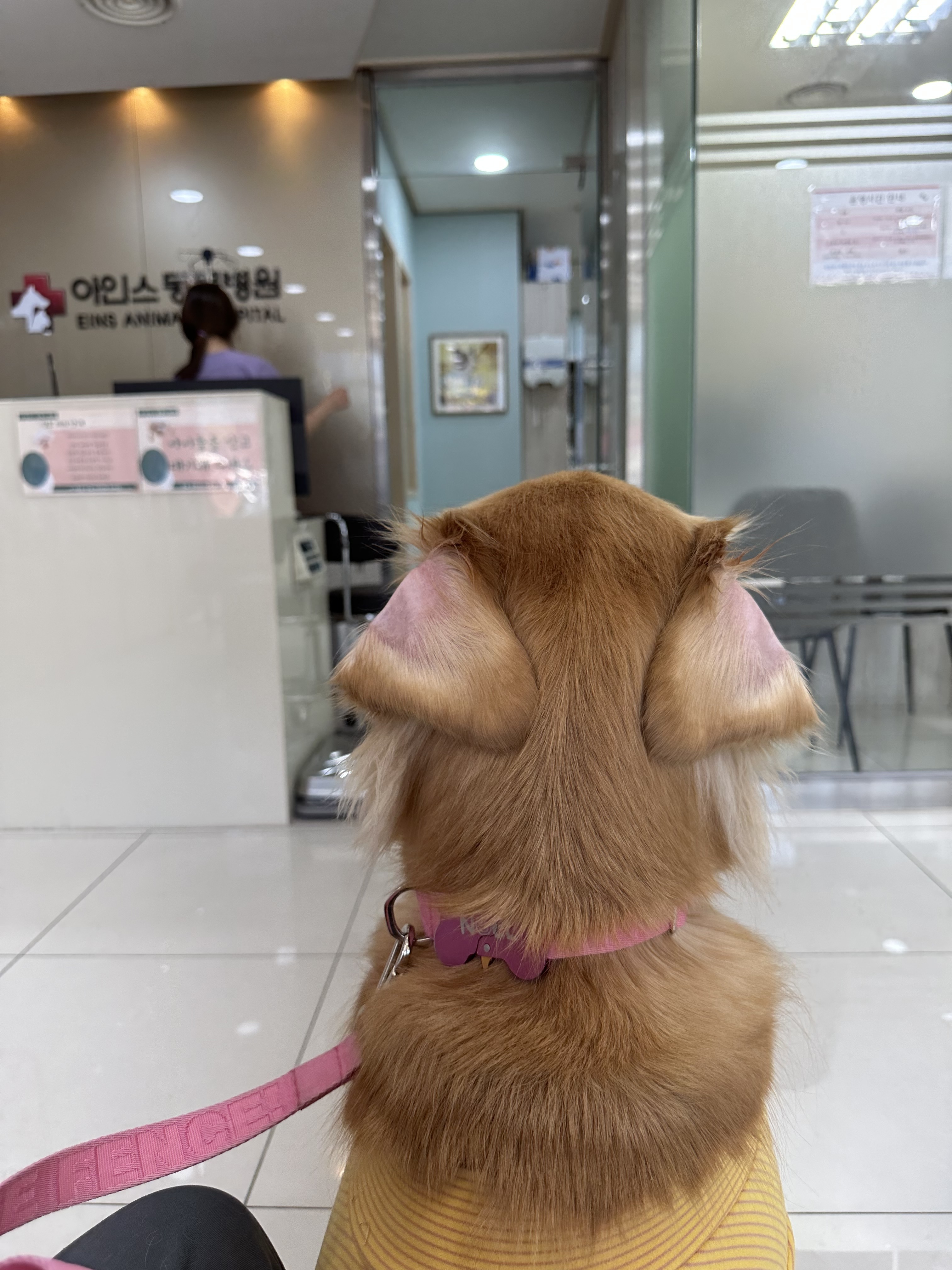 리뷰 사진 1