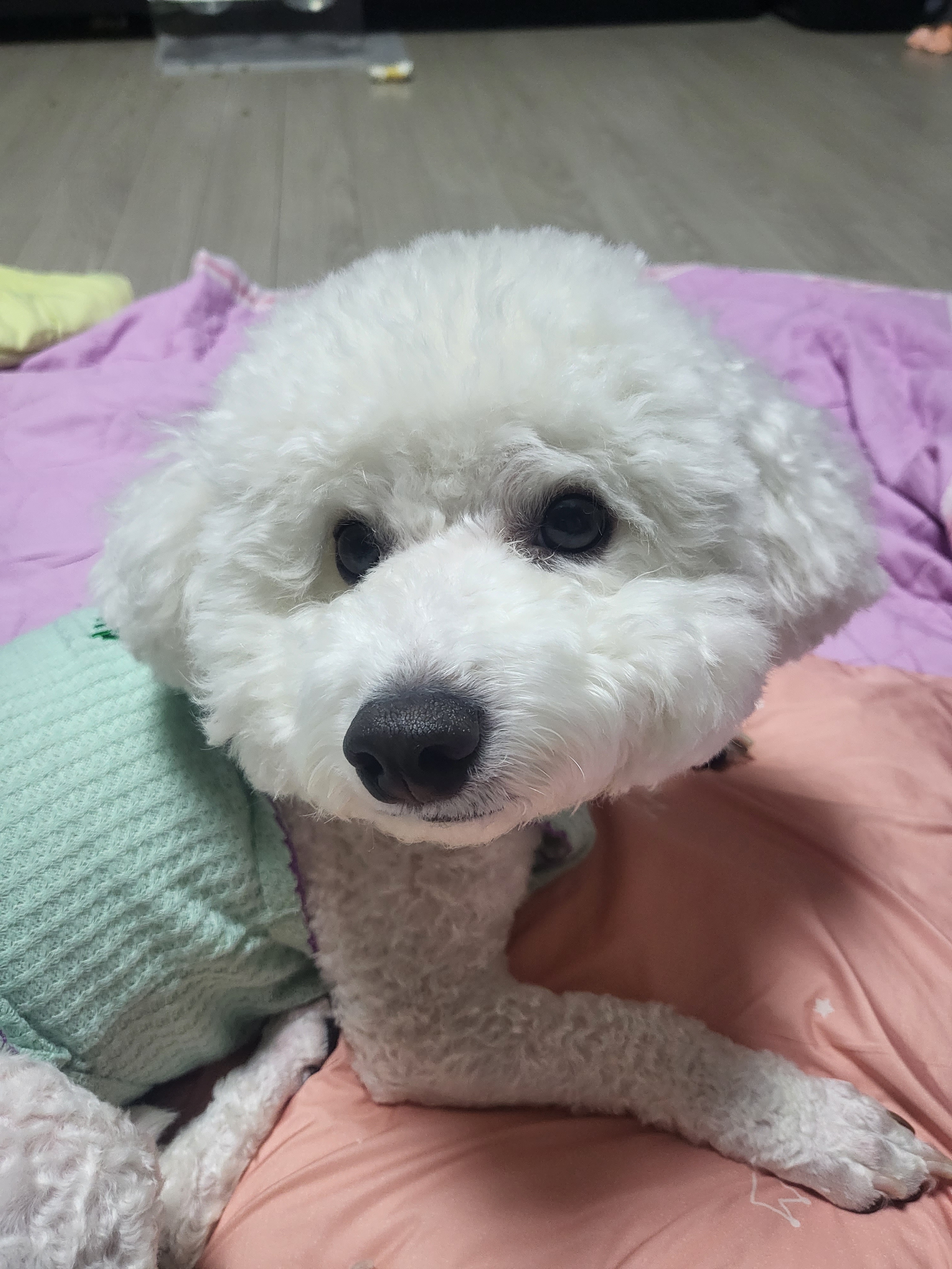 리뷰 사진 1