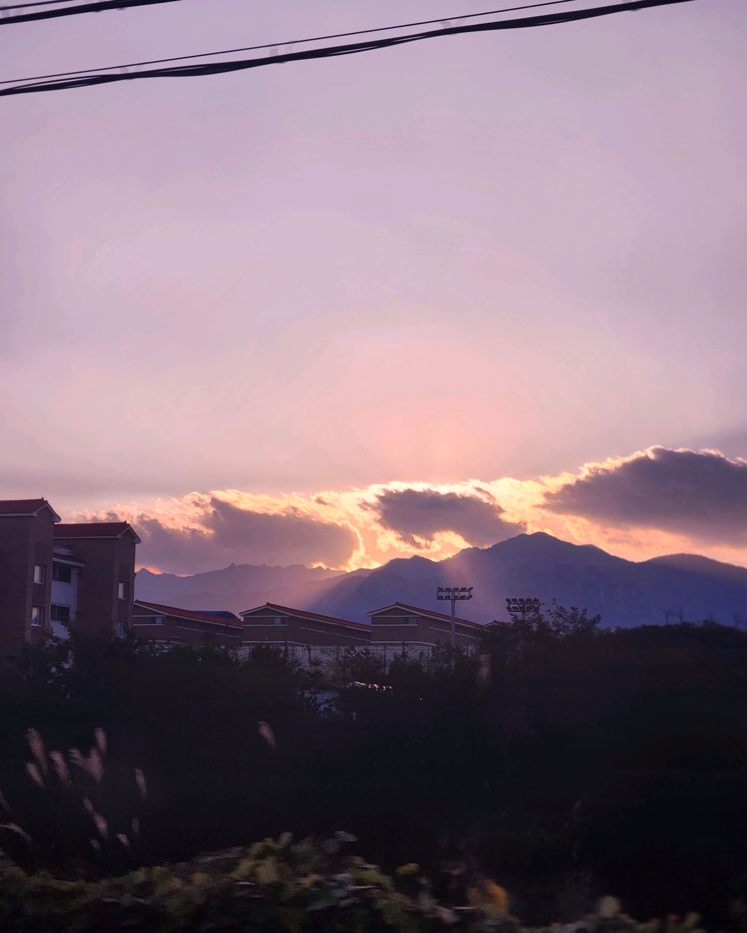 고지골 (Gojigol) 5