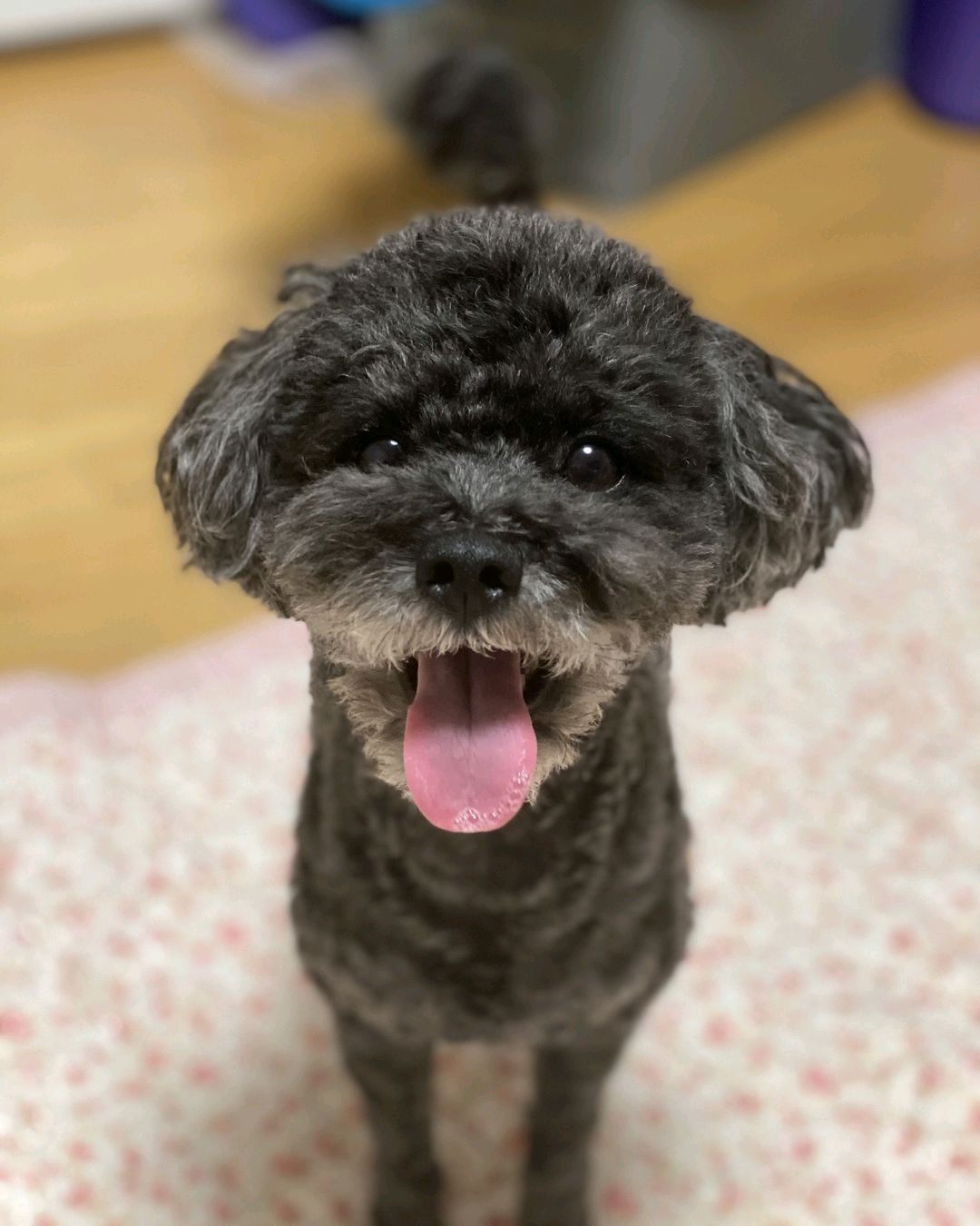 리뷰 사진 1