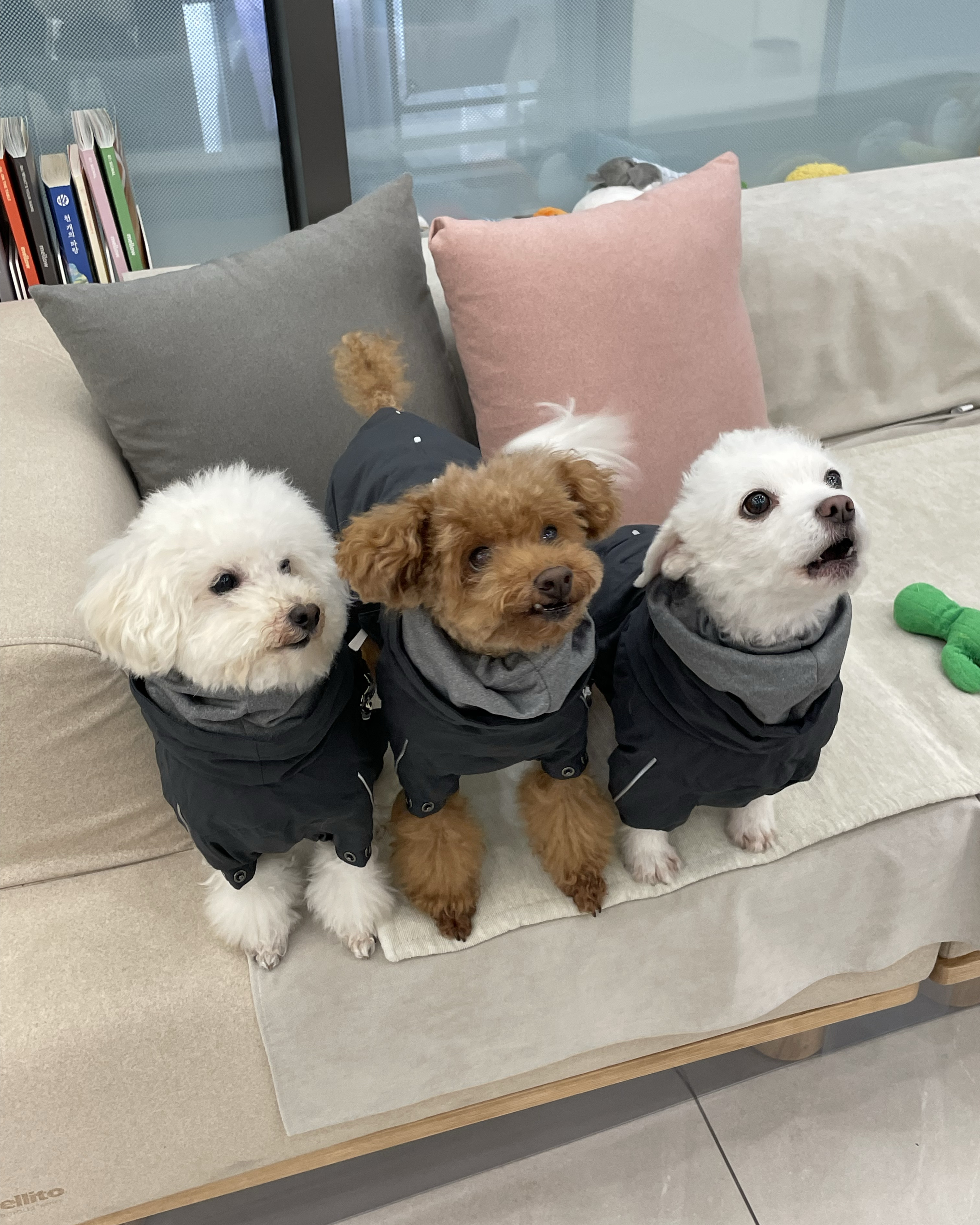 리뷰 사진 2