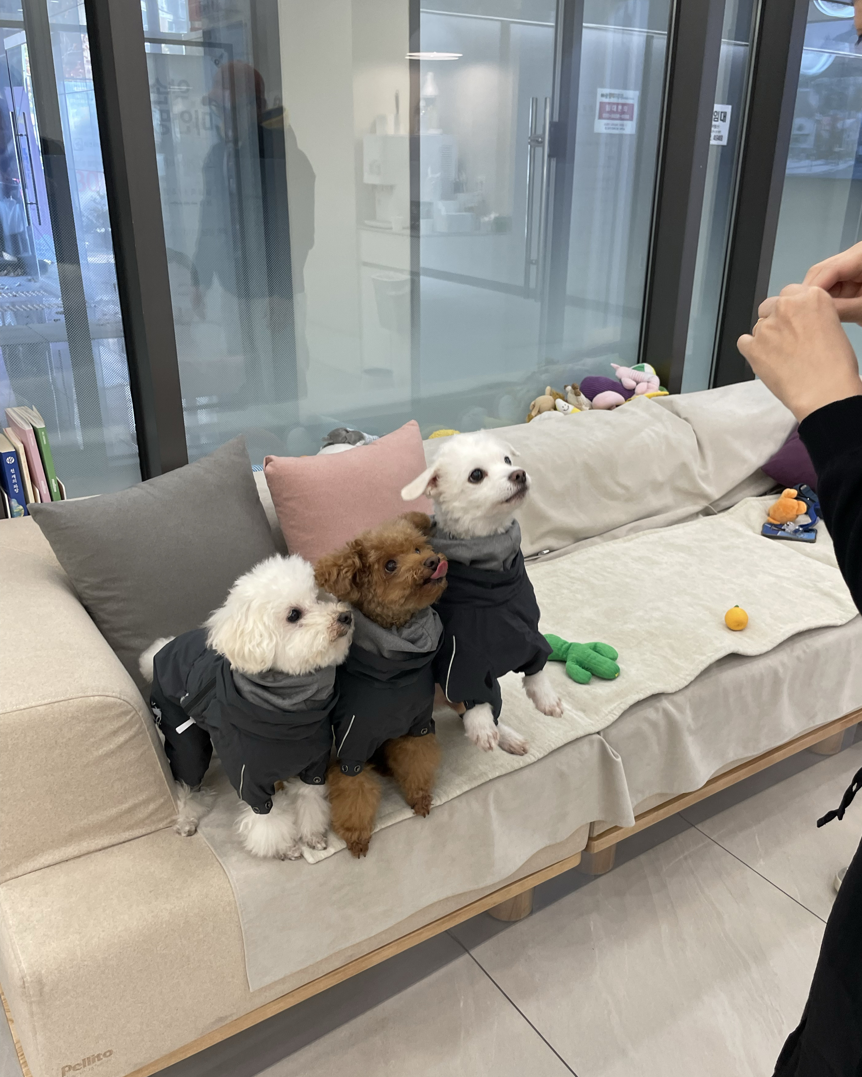 리뷰 사진 3