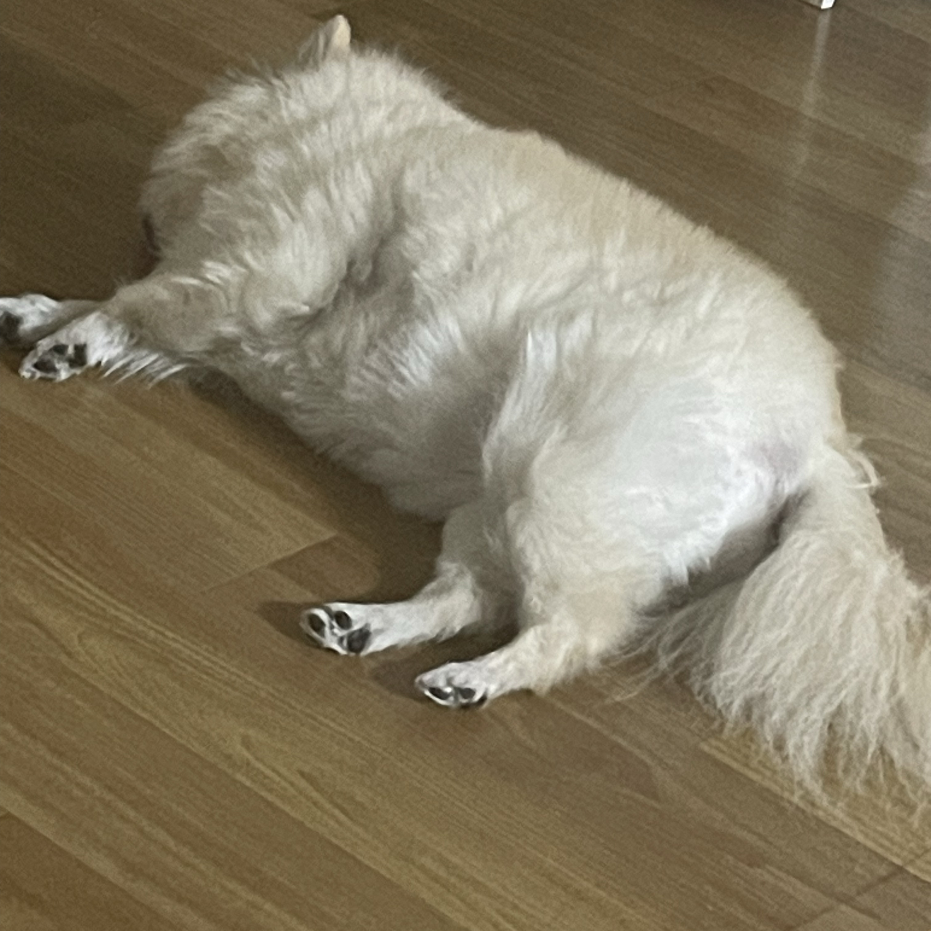 리뷰 사진 1