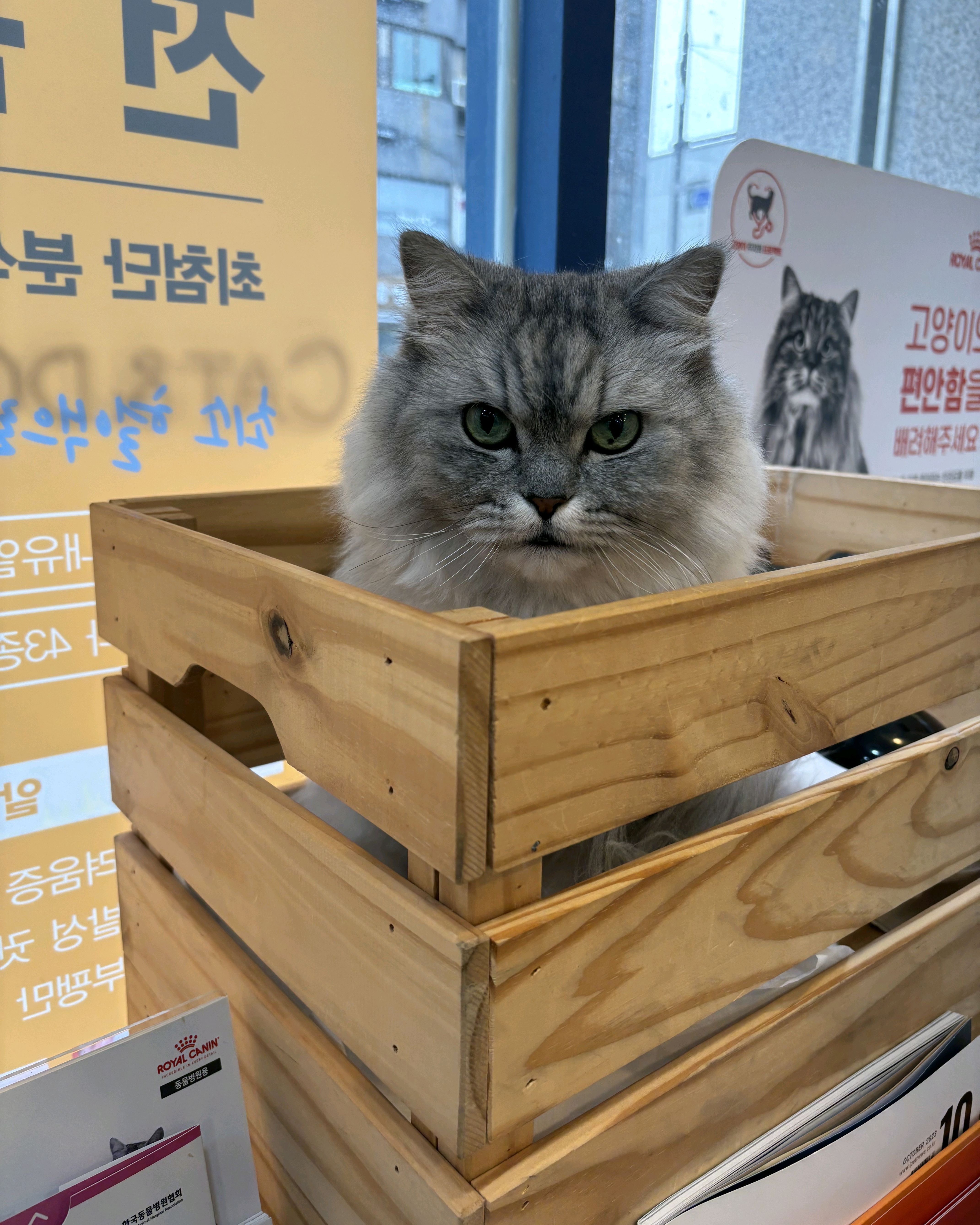 리뷰 사진 2
