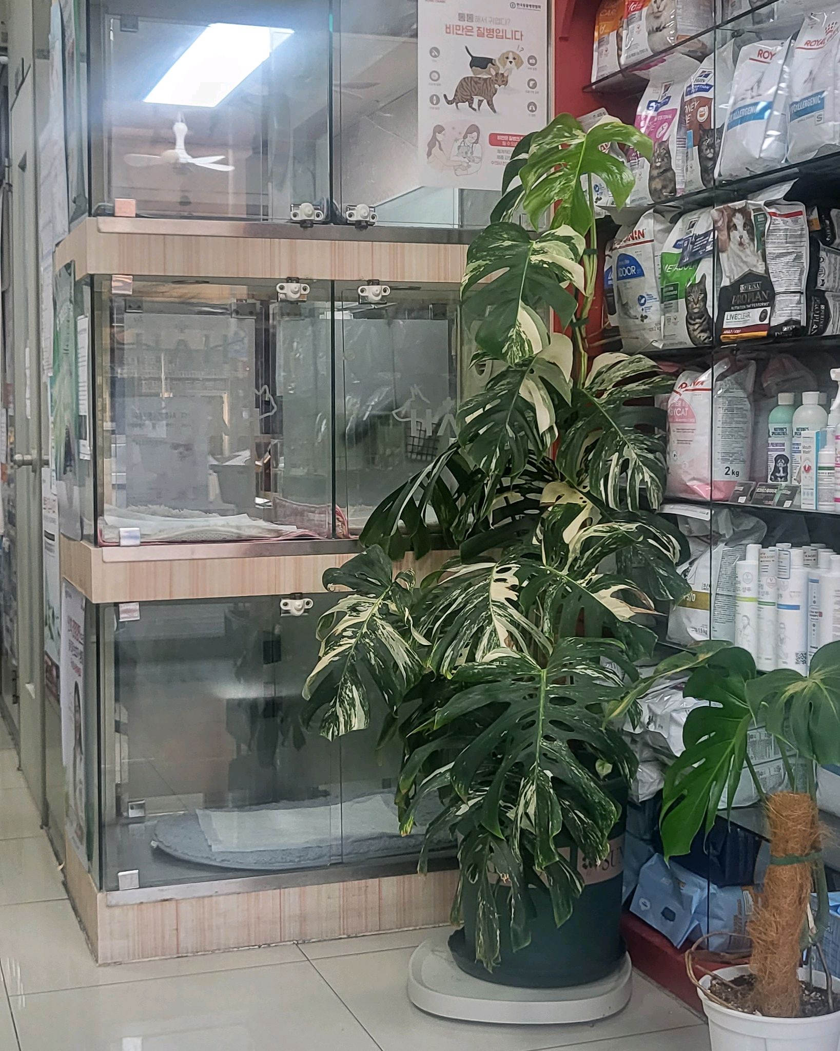 리뷰 사진 2