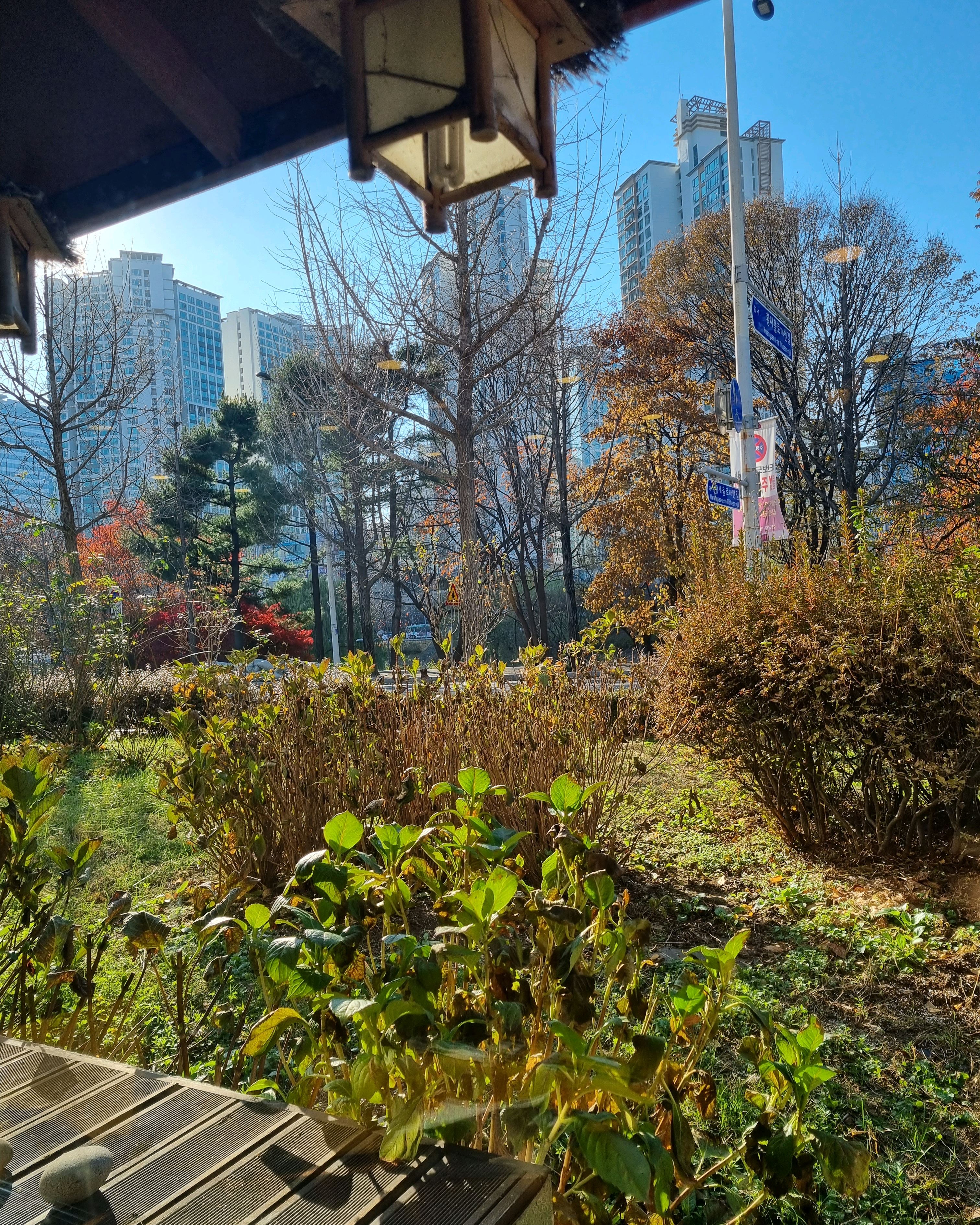 정자역 맛집 봄봄한정식 내돈내산 리얼후기