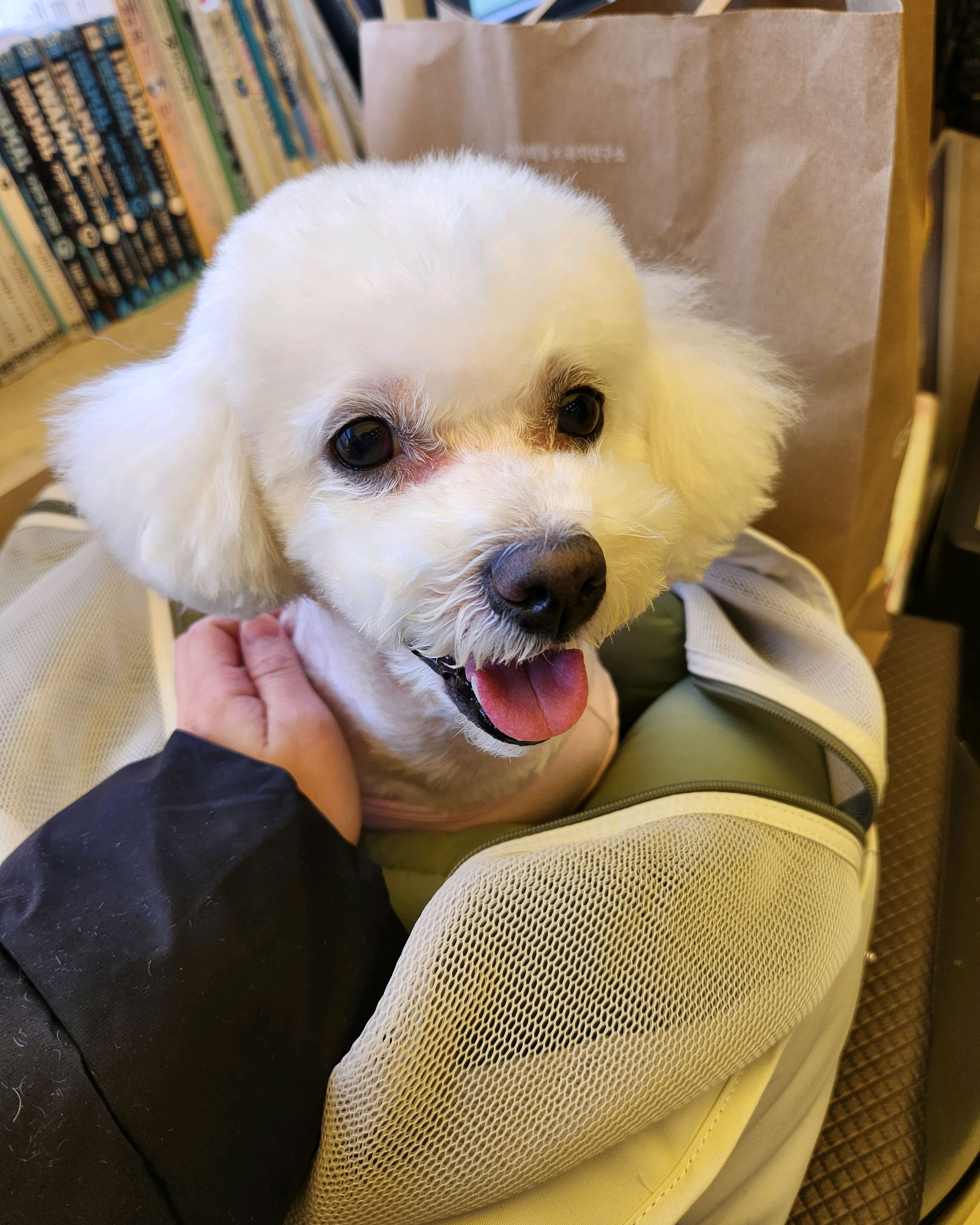 리뷰 사진 2