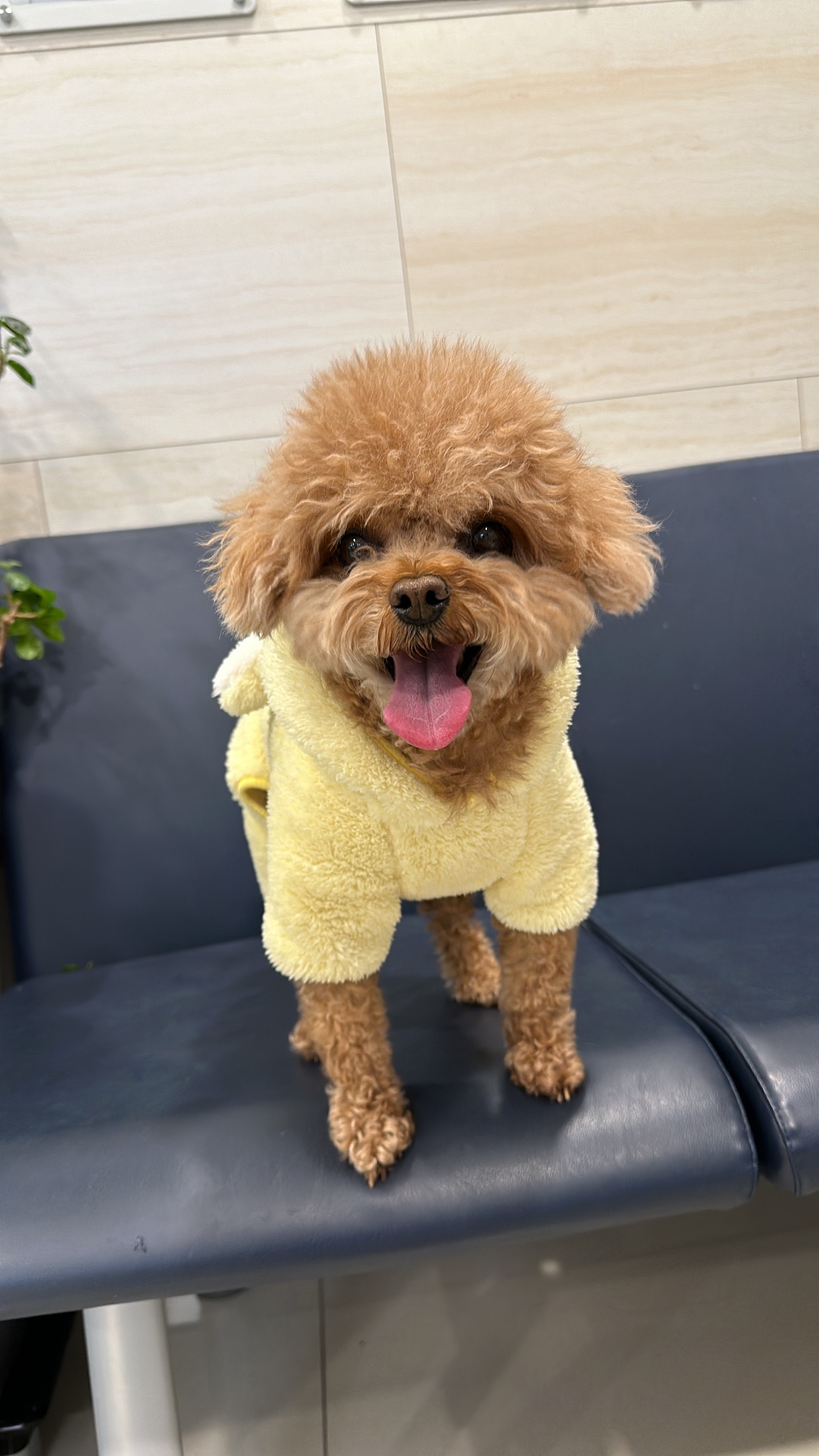 리뷰 사진 1
