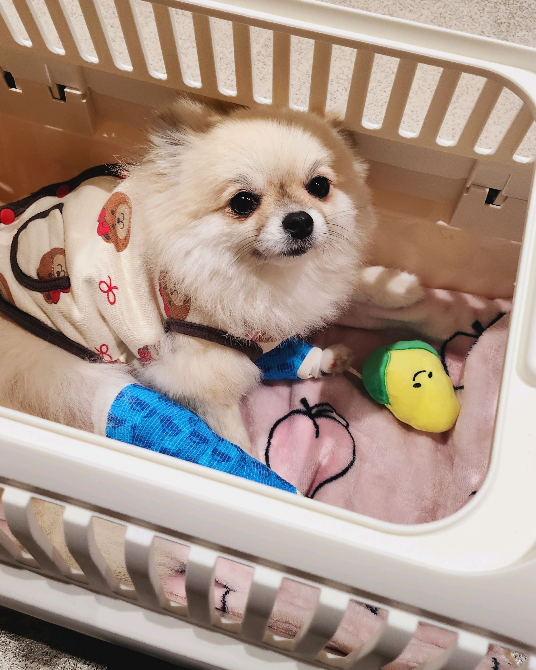 리뷰 사진 1